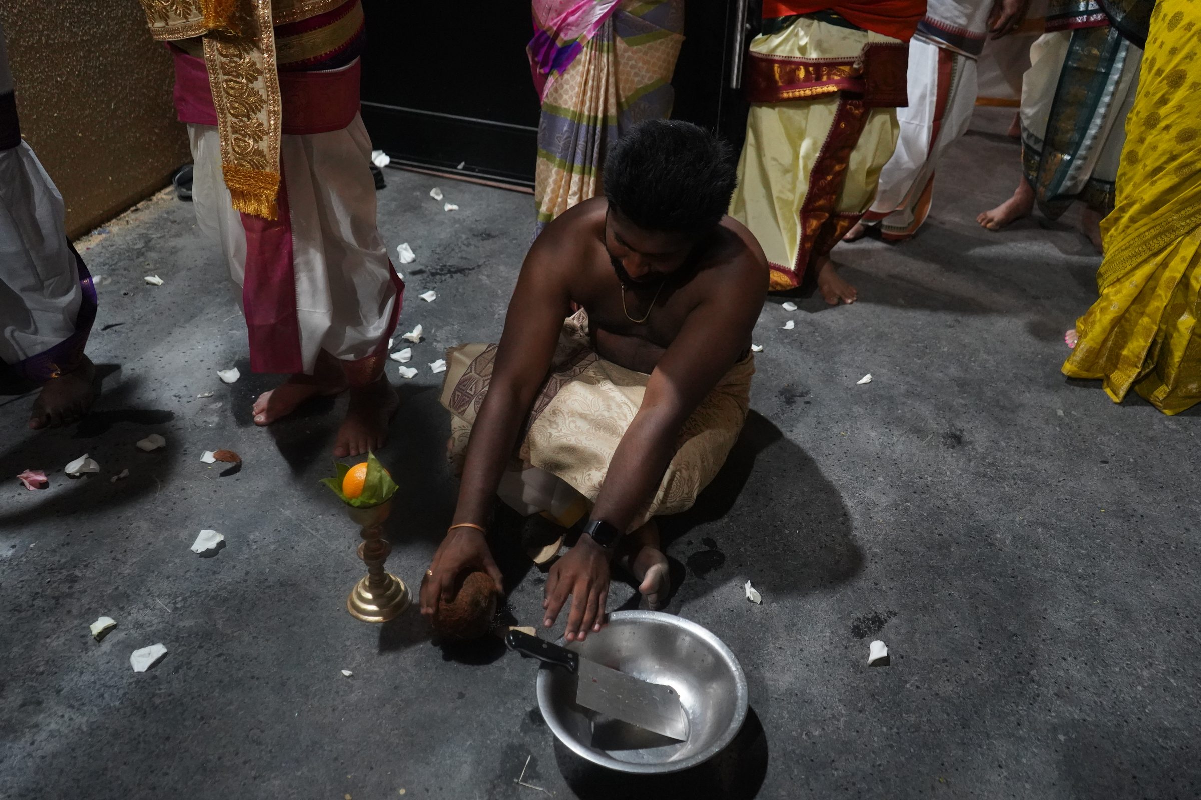 Festival 2026 photo