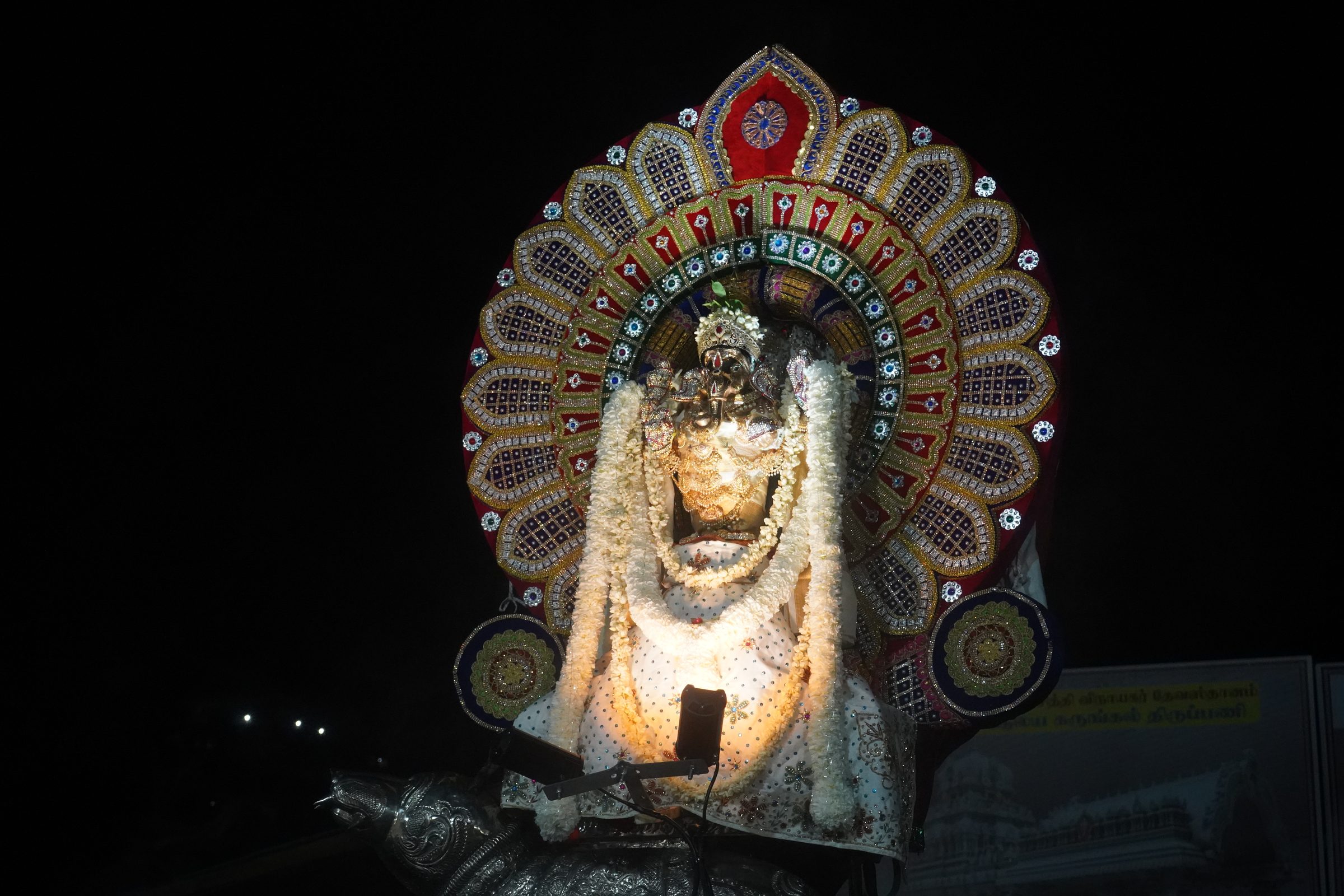 Festival 2026 photo