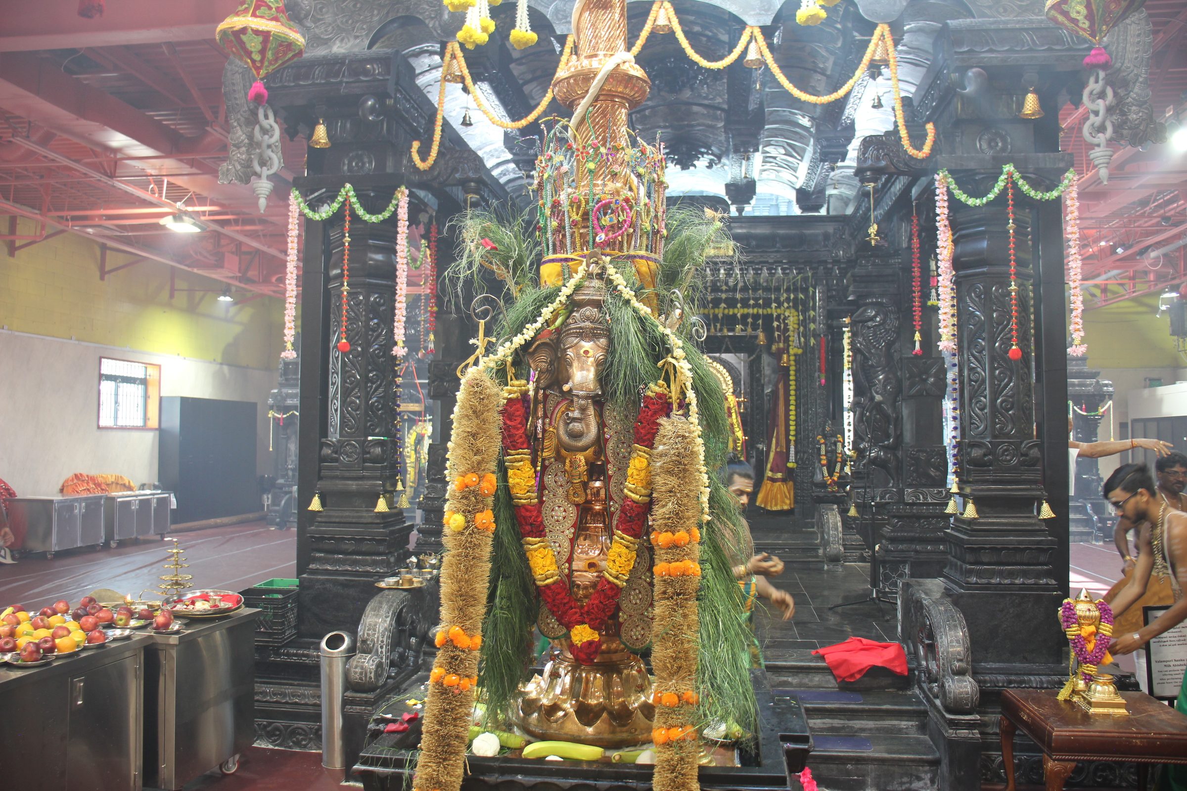 Festival 2026 photo