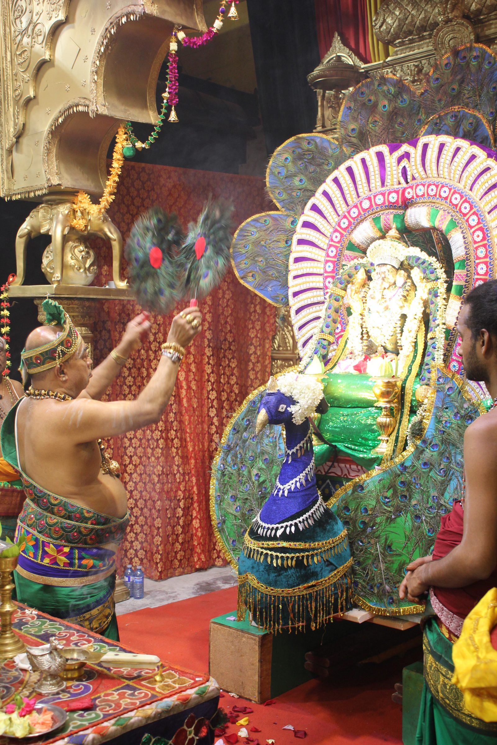 Festival 2026 photo