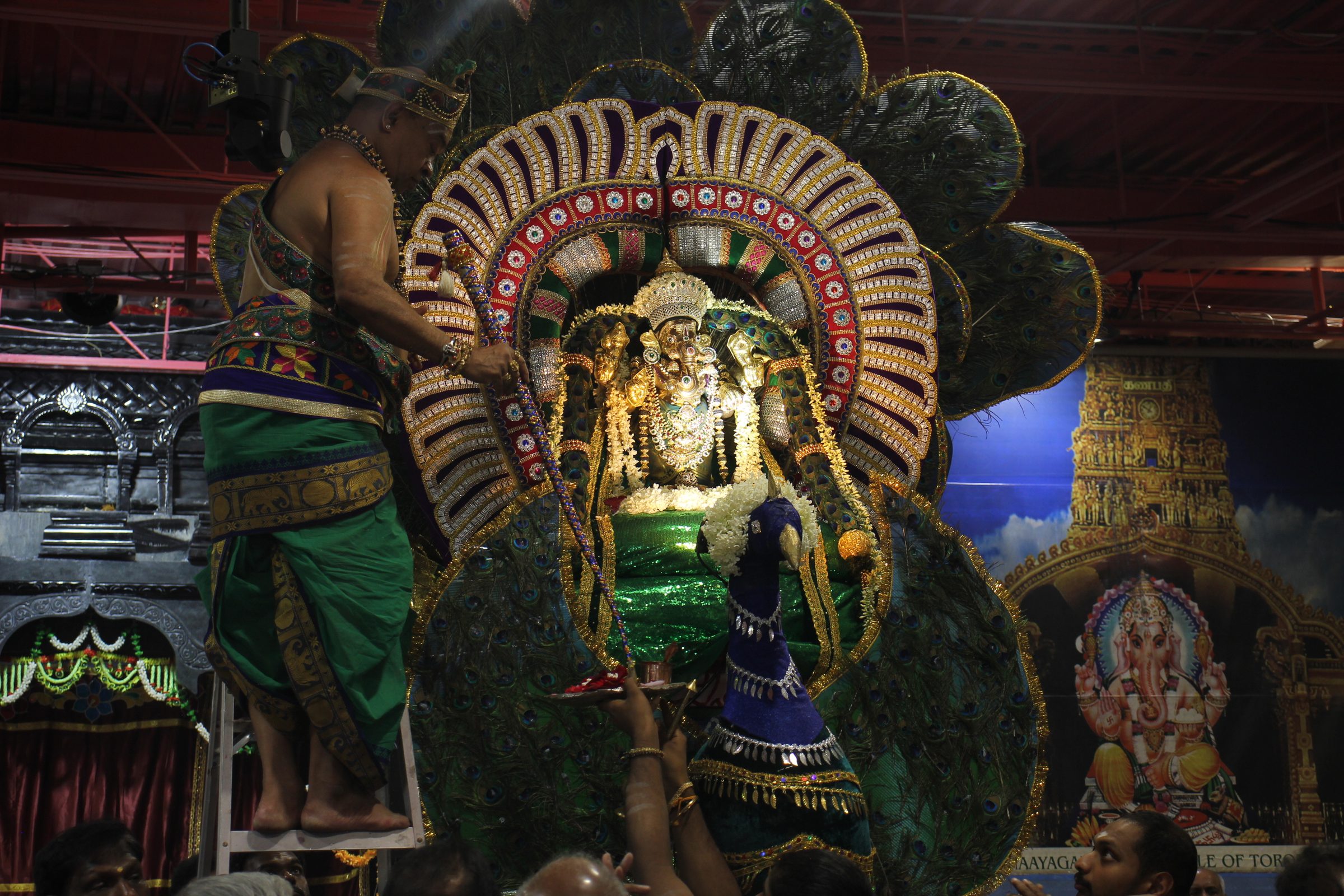 Festival 2026 photo