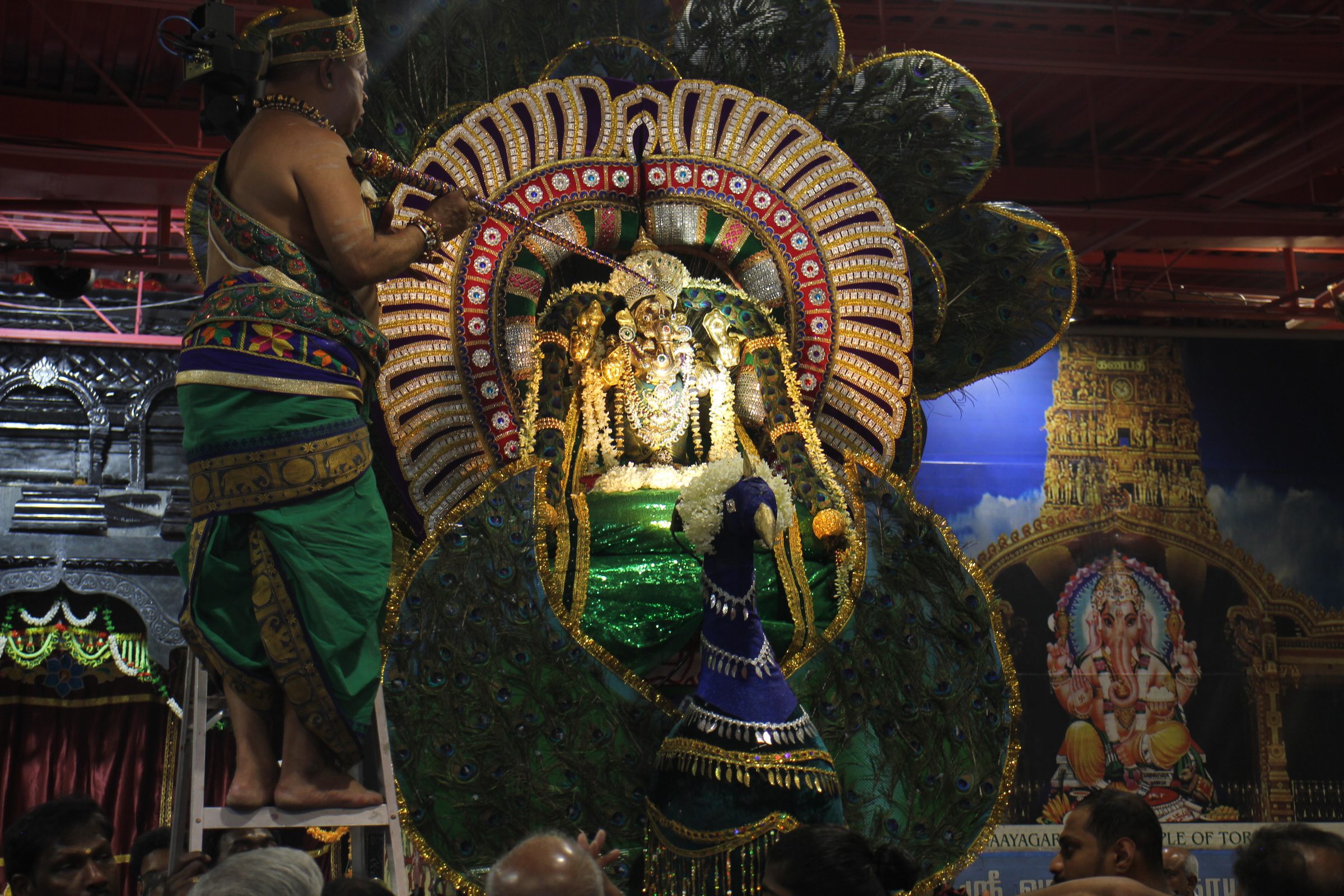 Festival 2026 photo