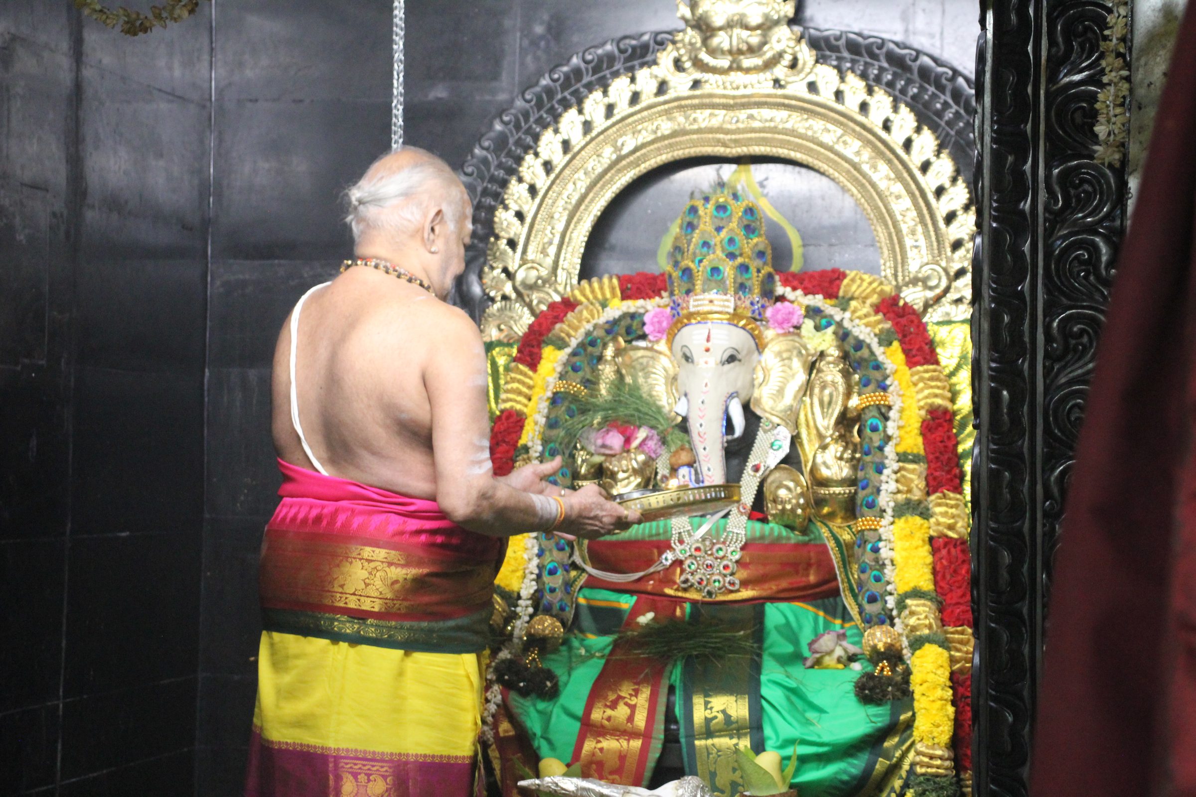 Festival 2026 photo