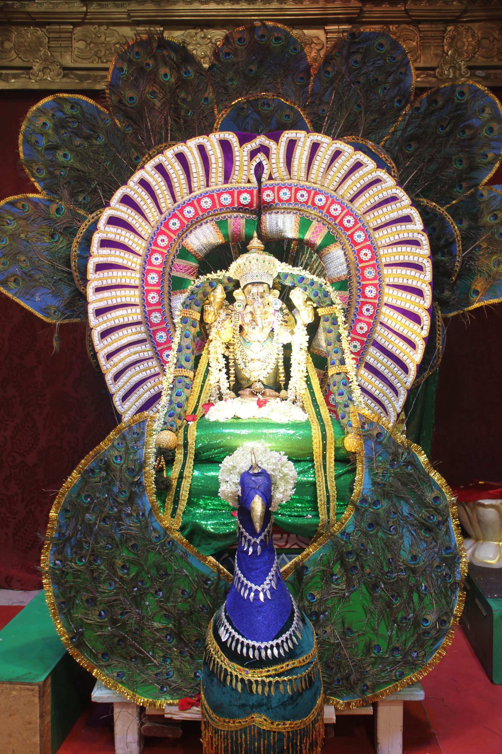 Festival 2026 photo