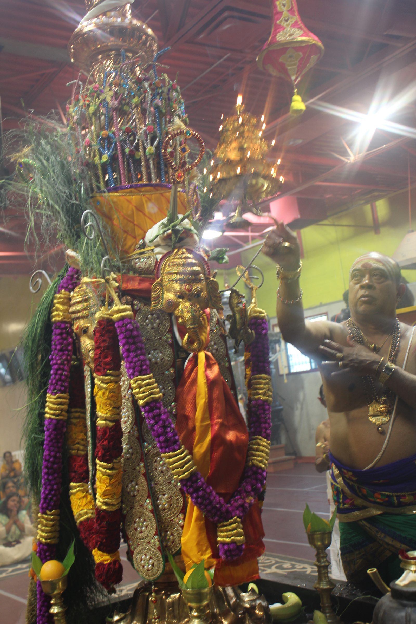 Festival 2026 photo