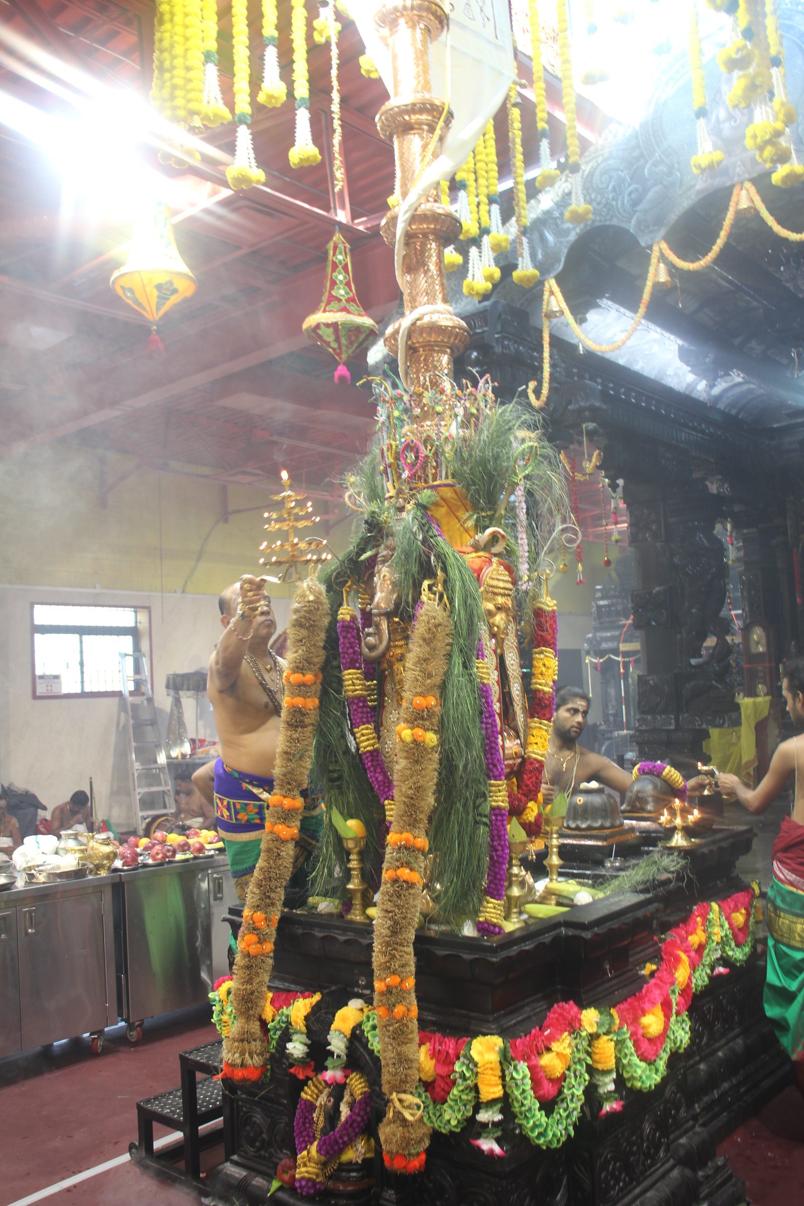 Festival 2026 photo