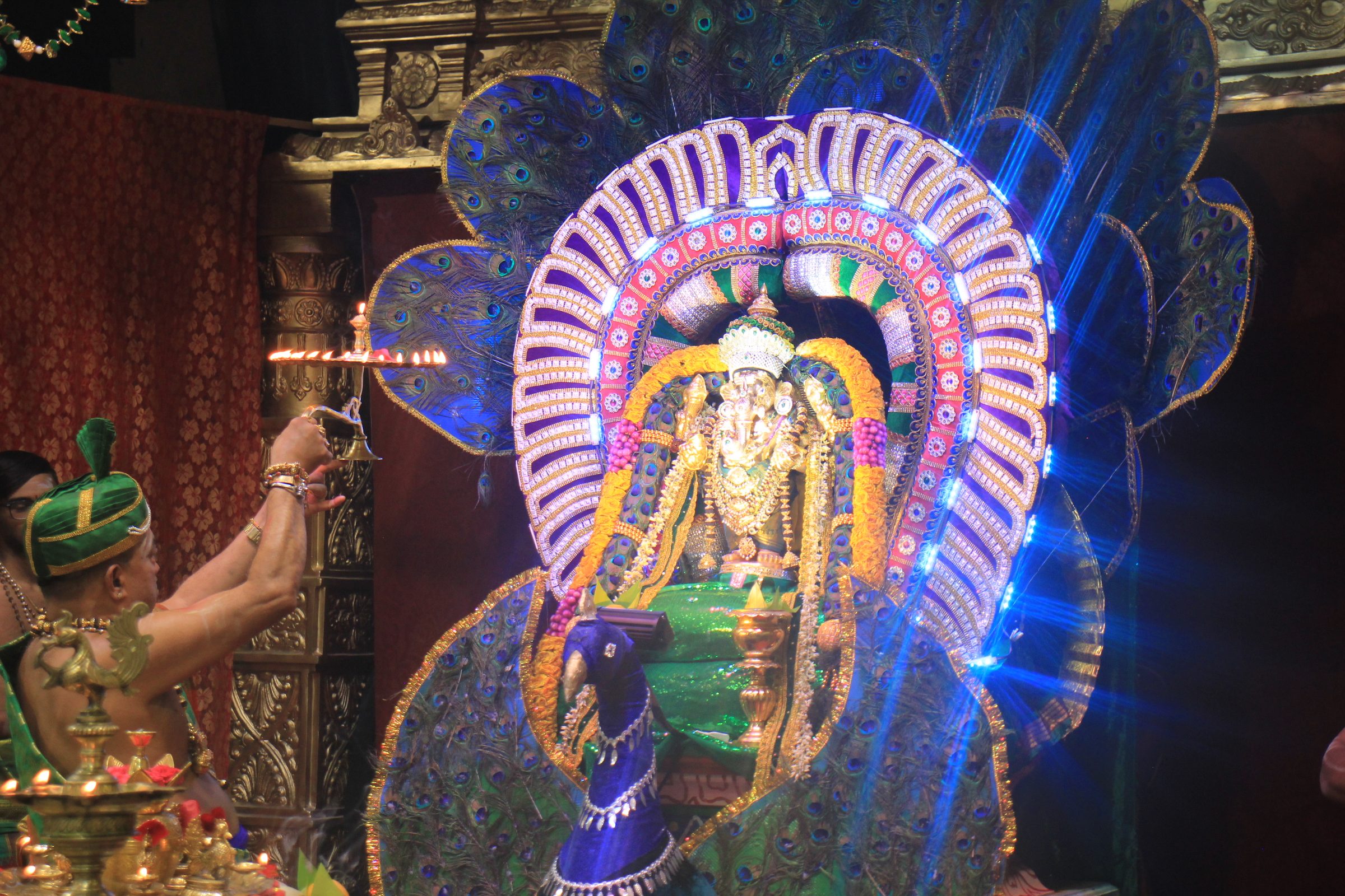 Festival 2026 photo