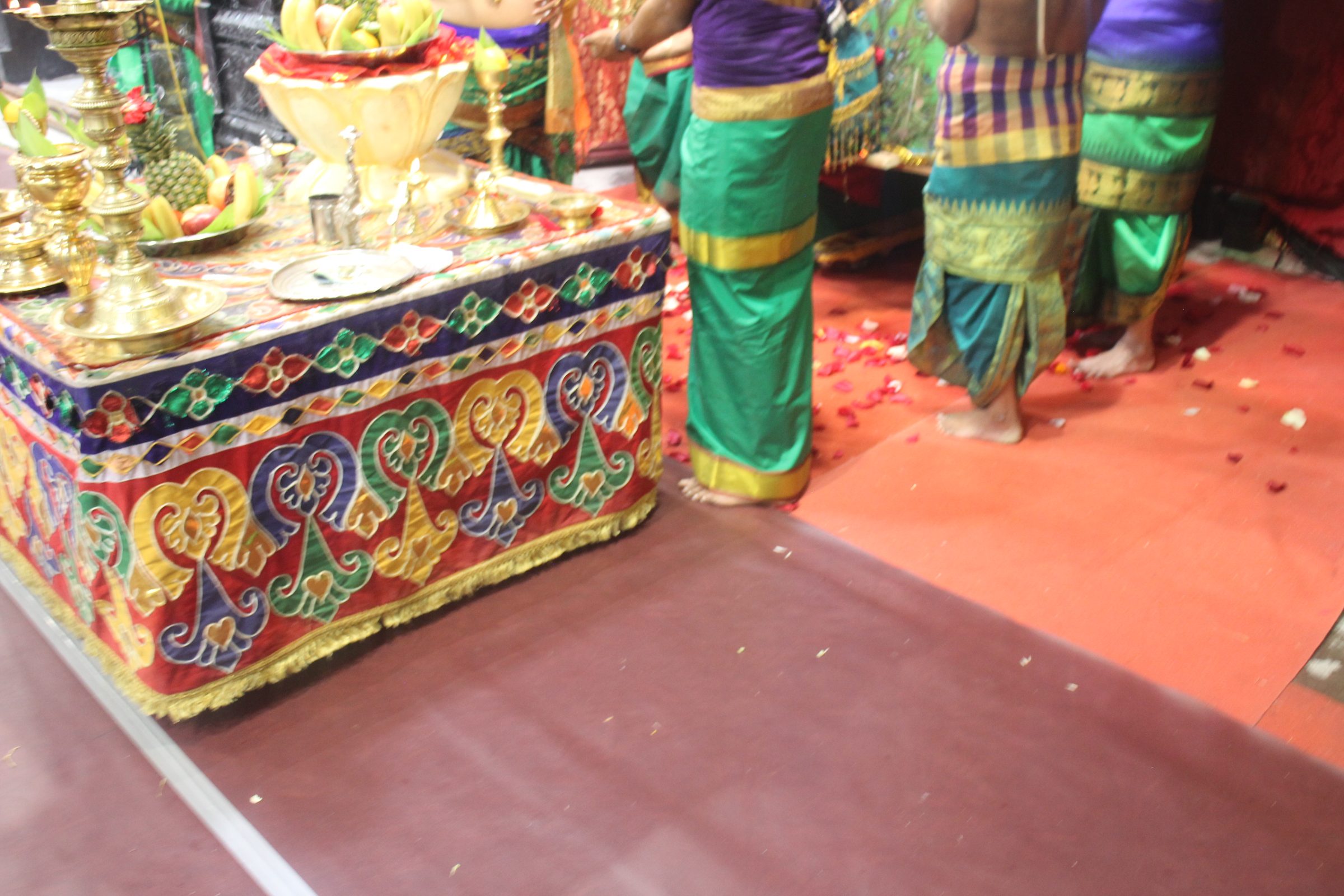 Festival 2026 photo