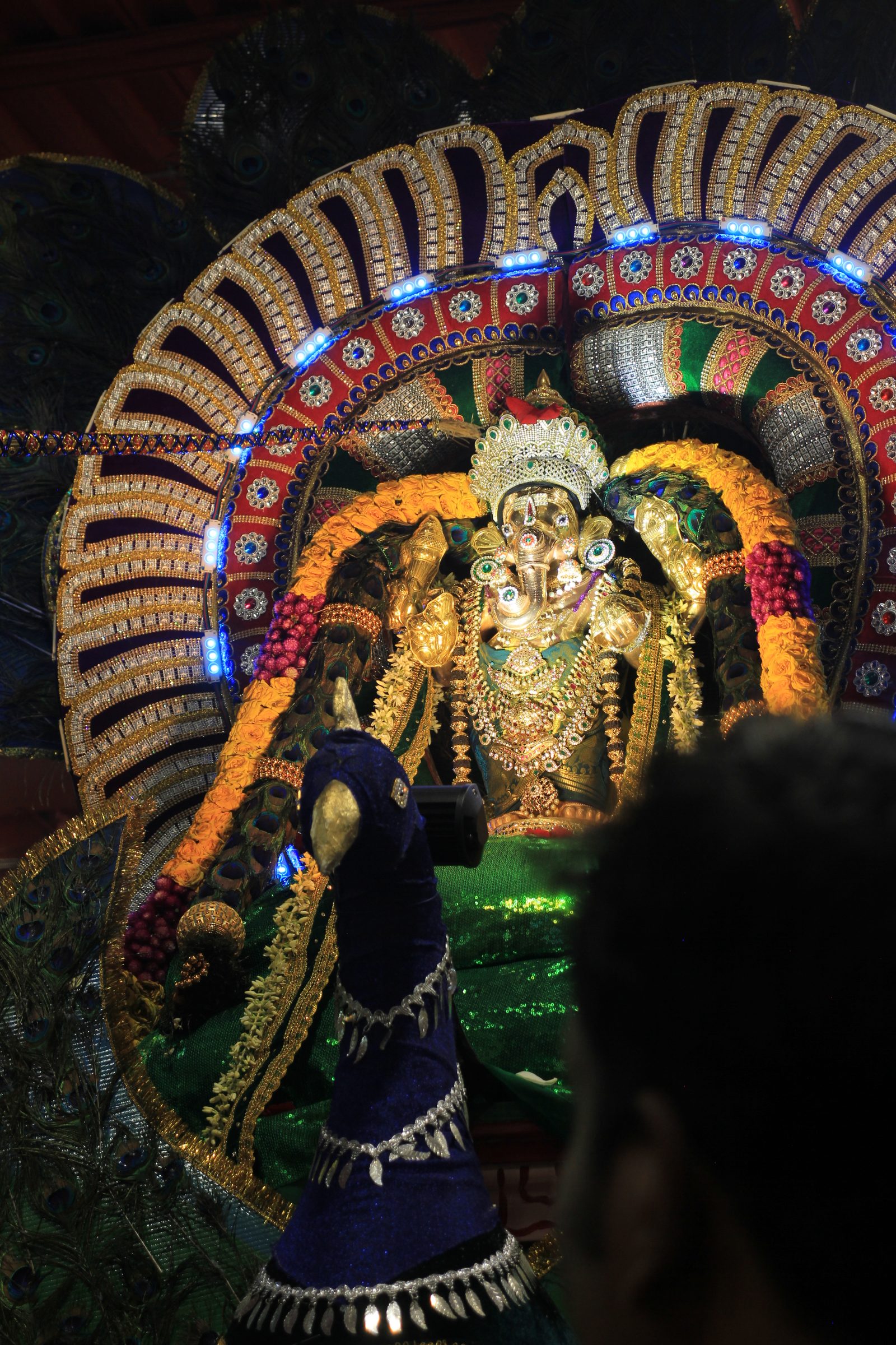 Festival 2026 photo