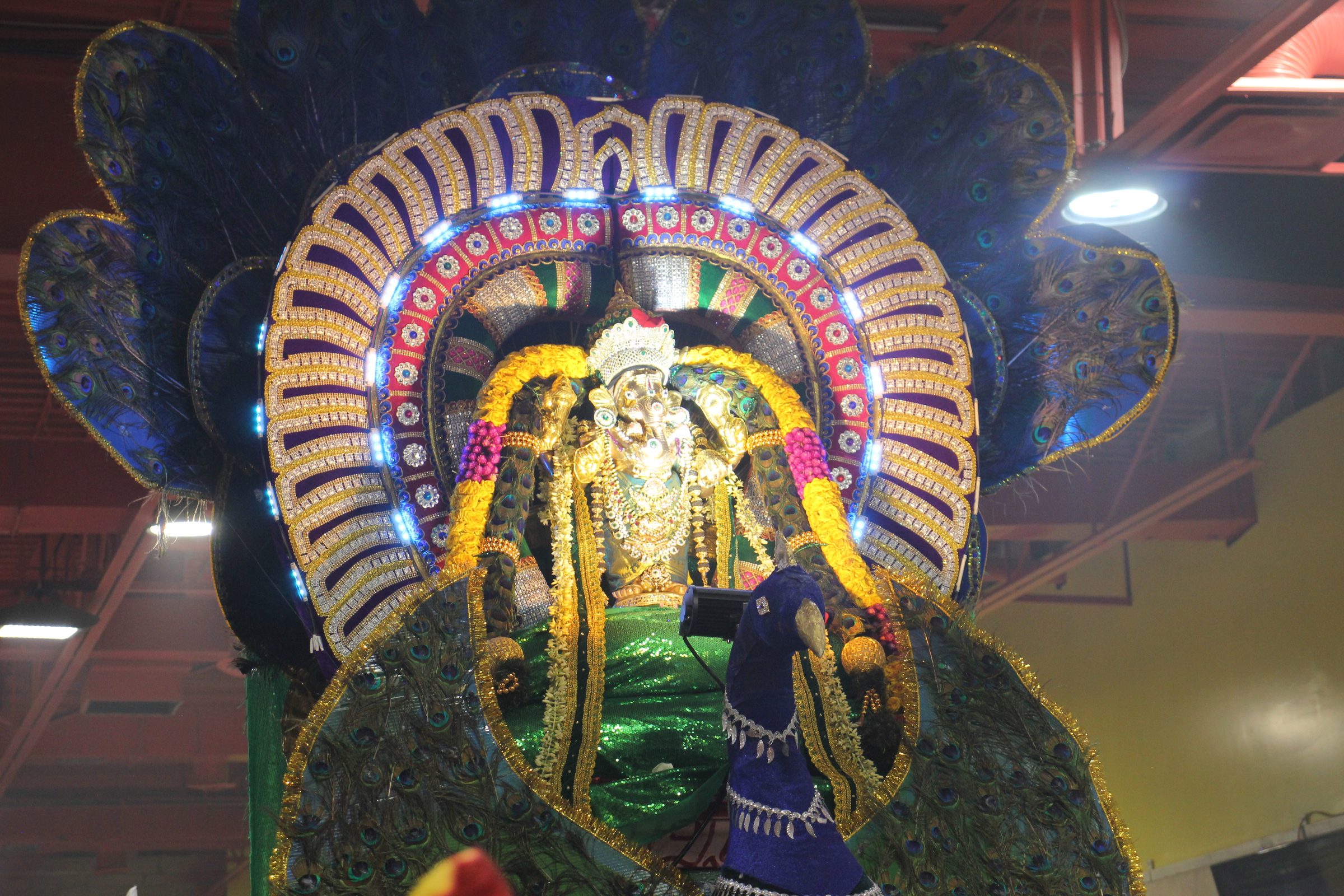 Festival 2026 photo