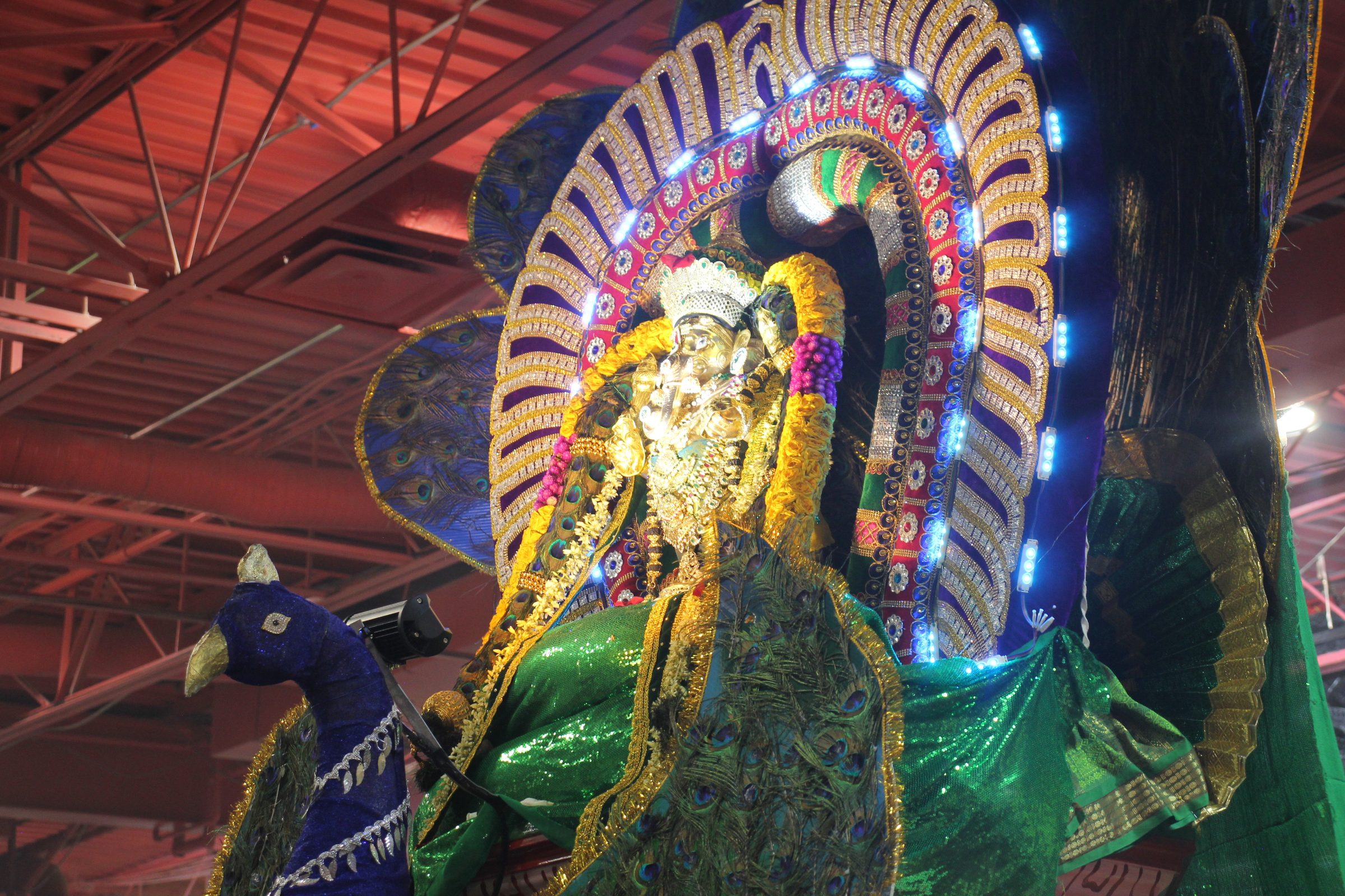 Festival 2026 photo