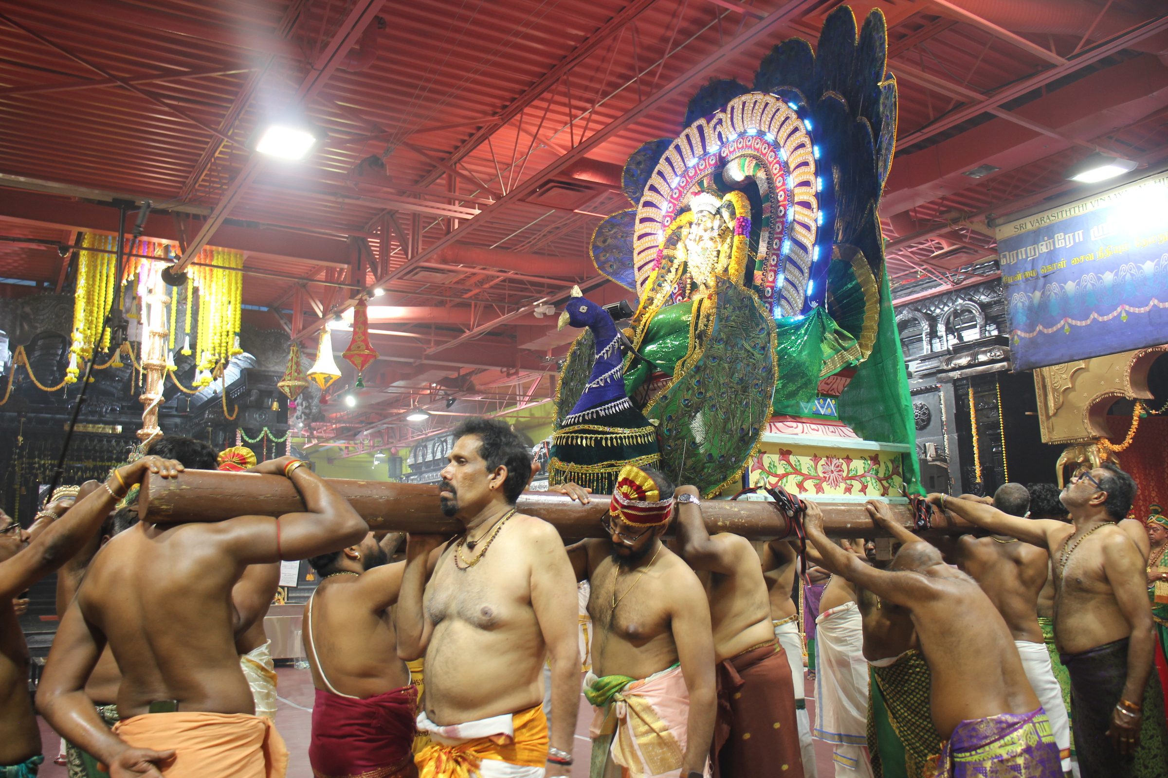 Festival 2026 photo