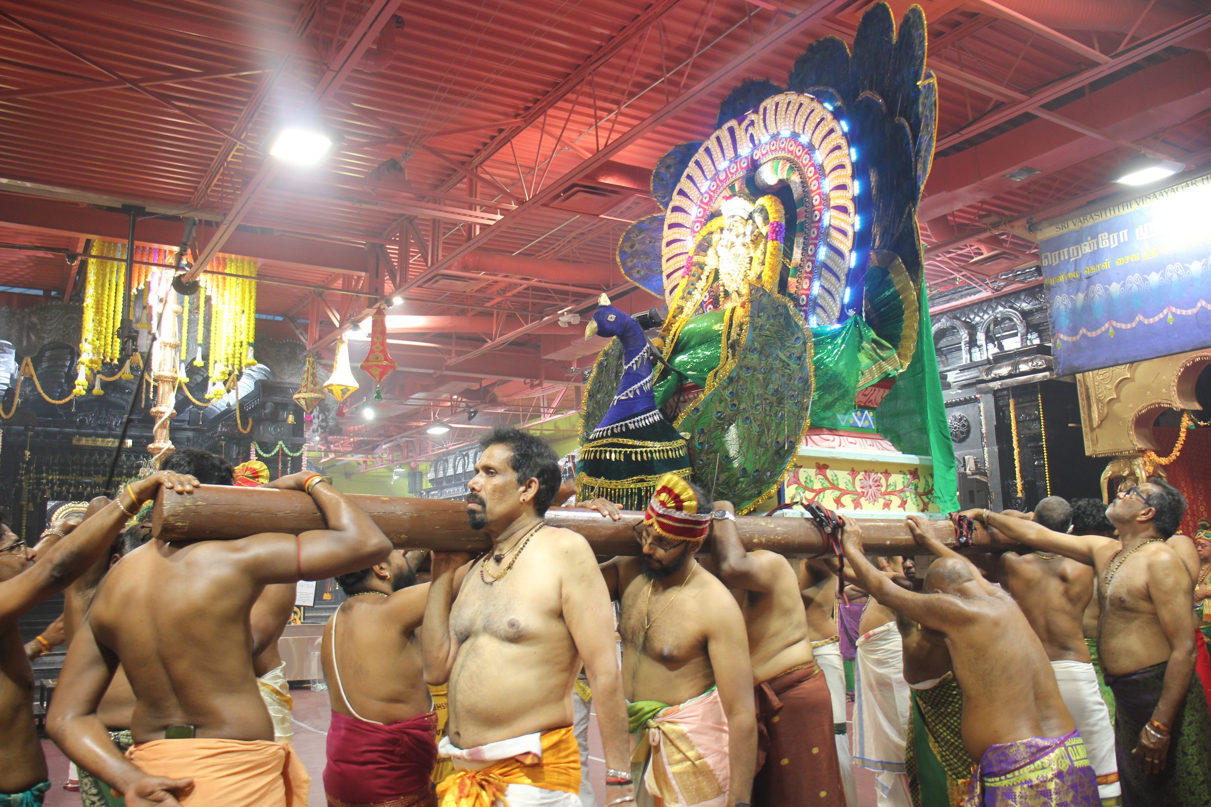 Festival 2026 photo