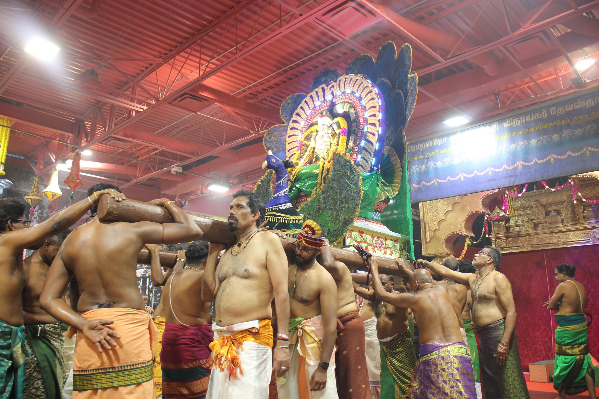 Festival 2026 photo