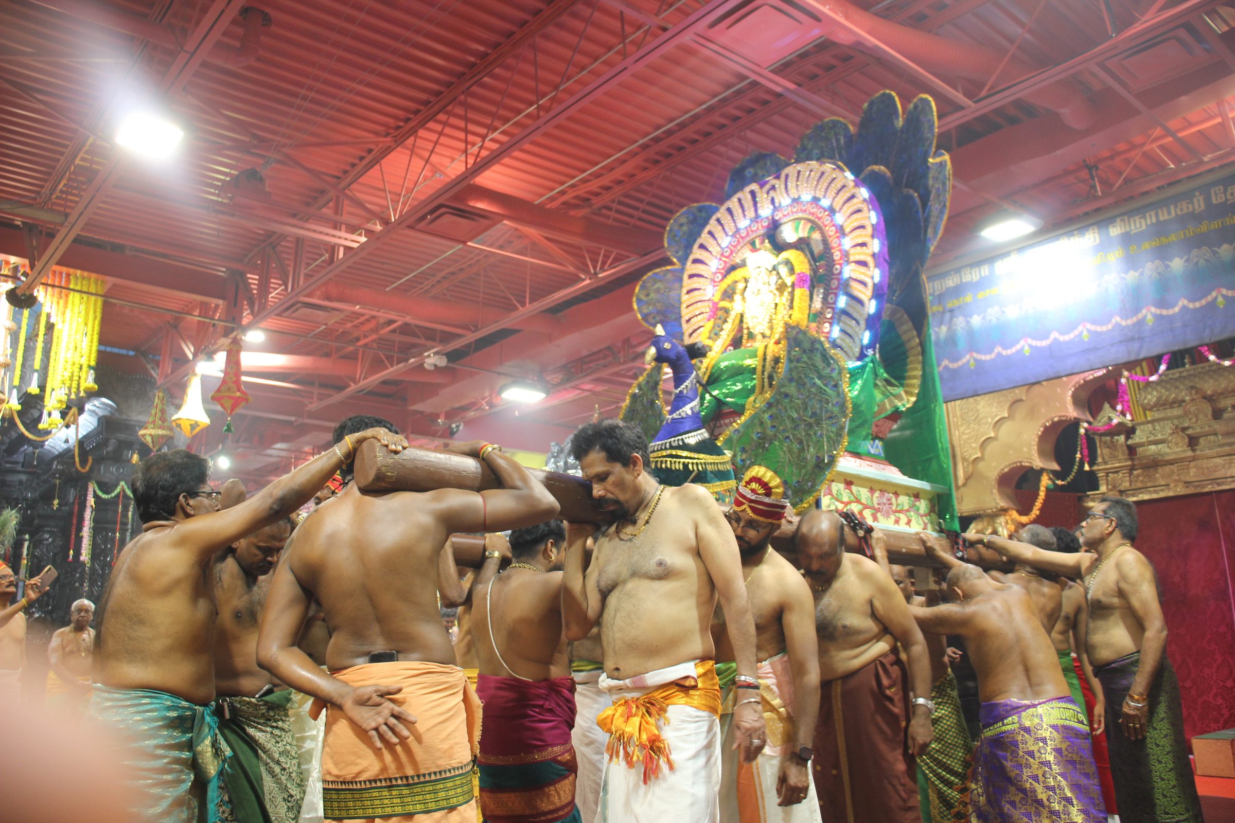 Festival 2026 photo