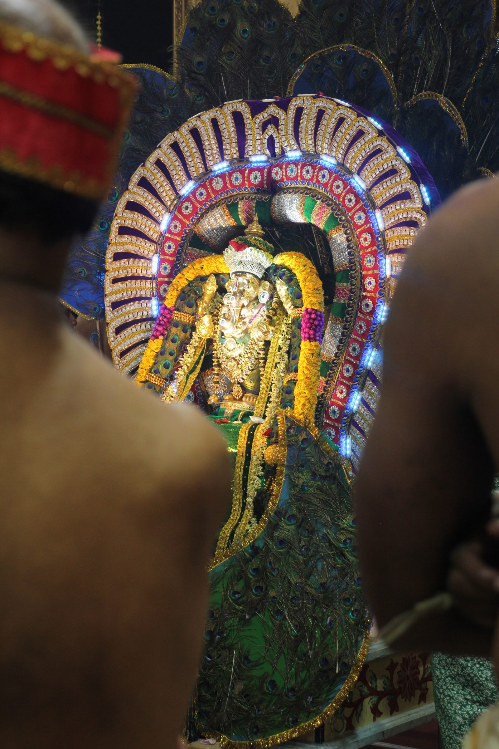 Festival 2026 photo