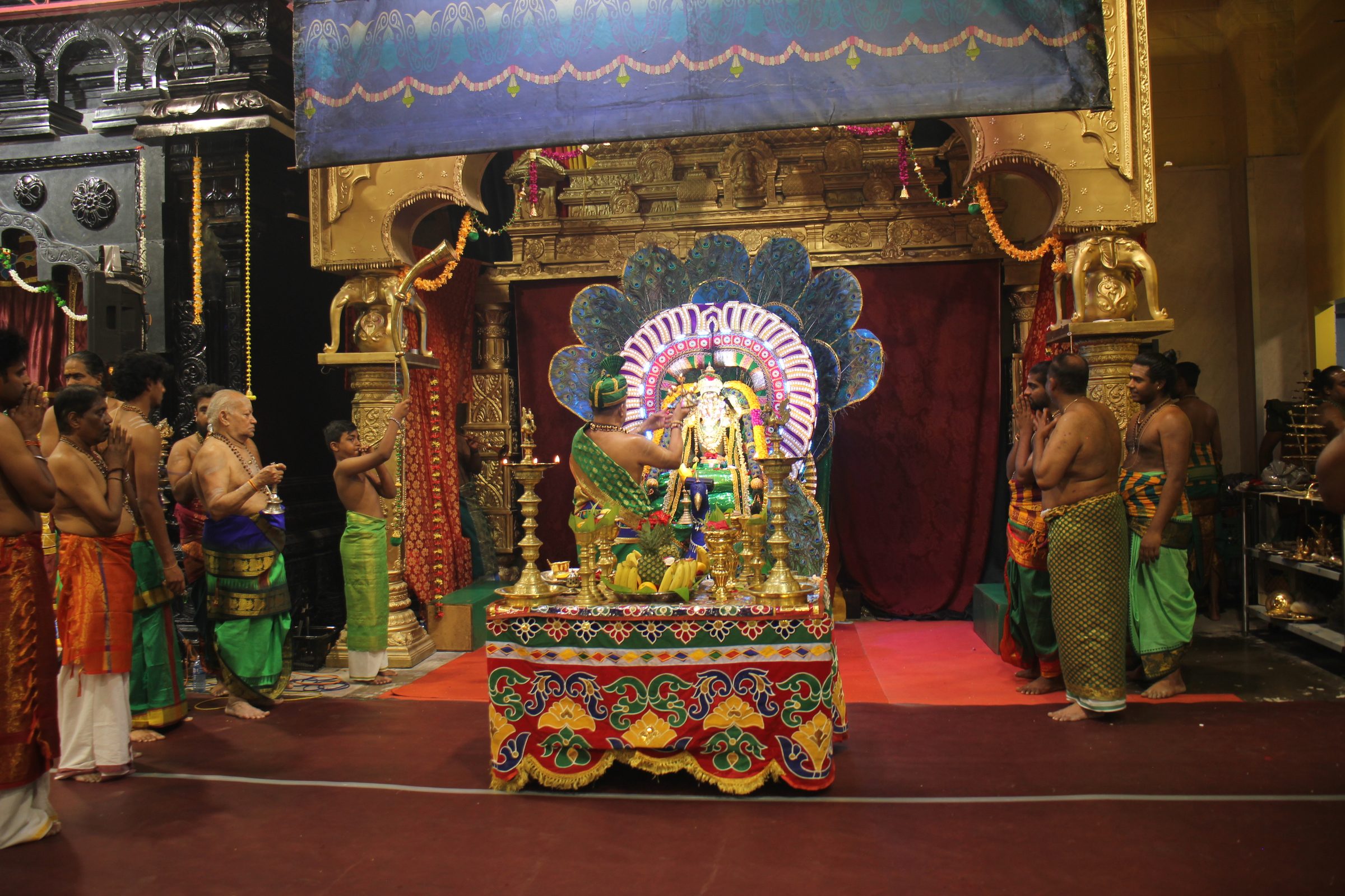 Festival 2026 photo