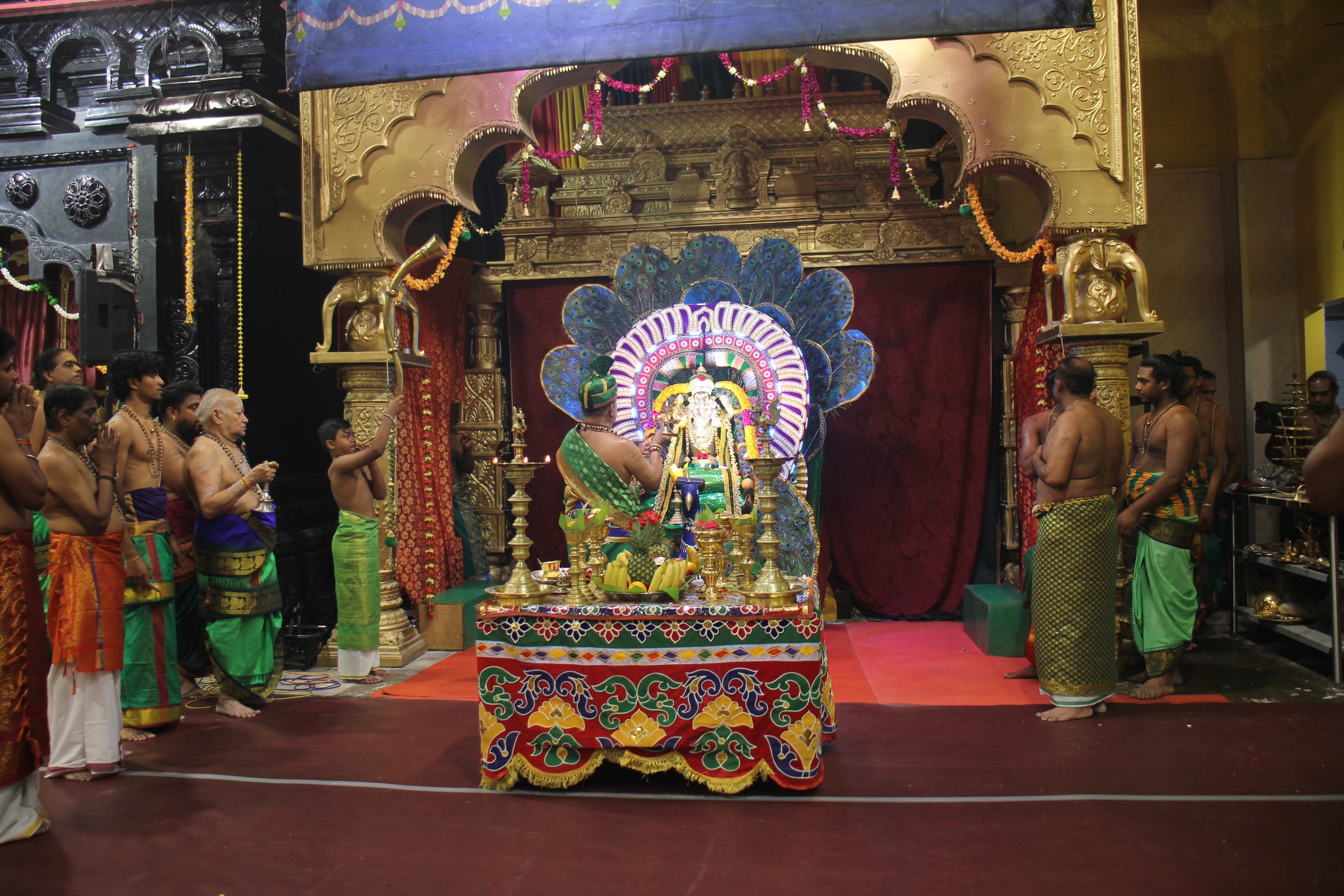 Festival 2026 photo