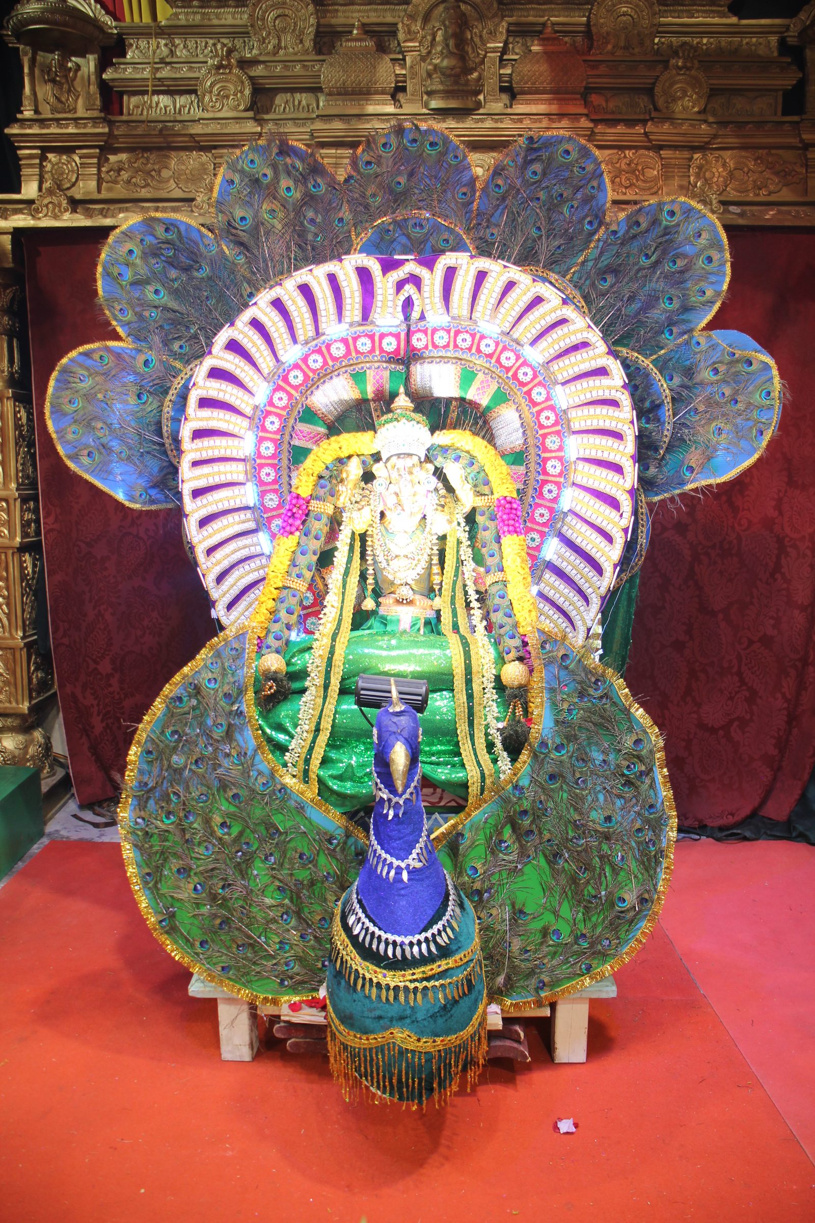 Festival 2026 photo