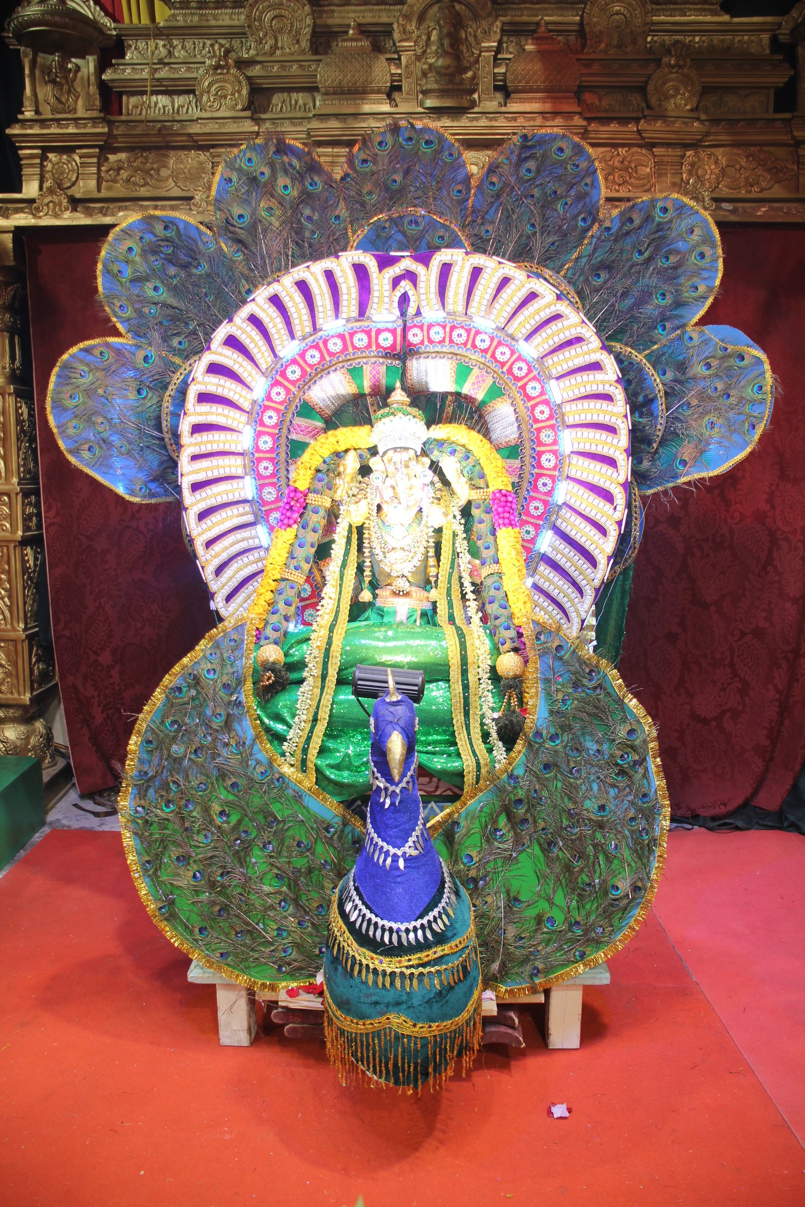 Festival 2026 photo