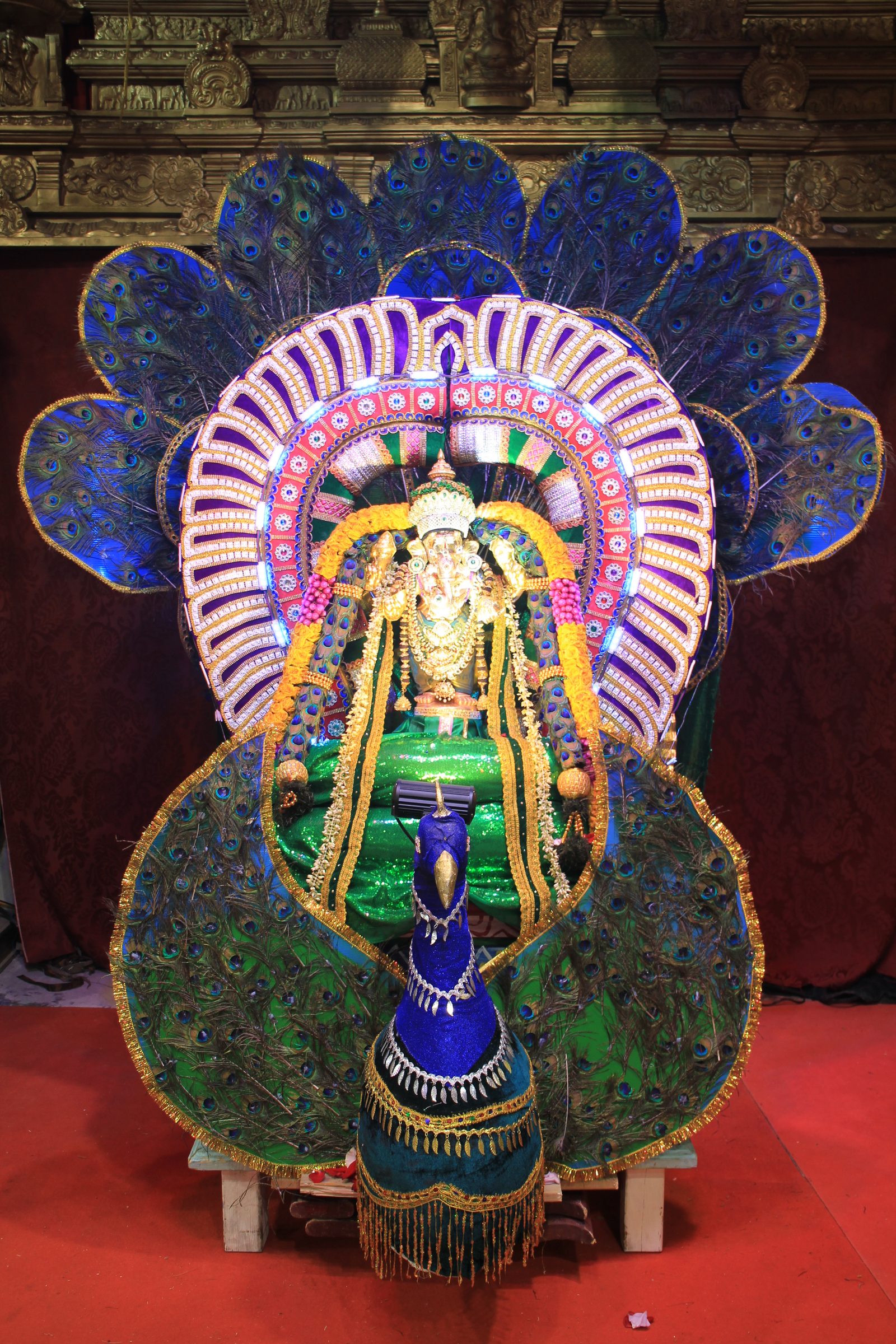 Festival 2026 photo