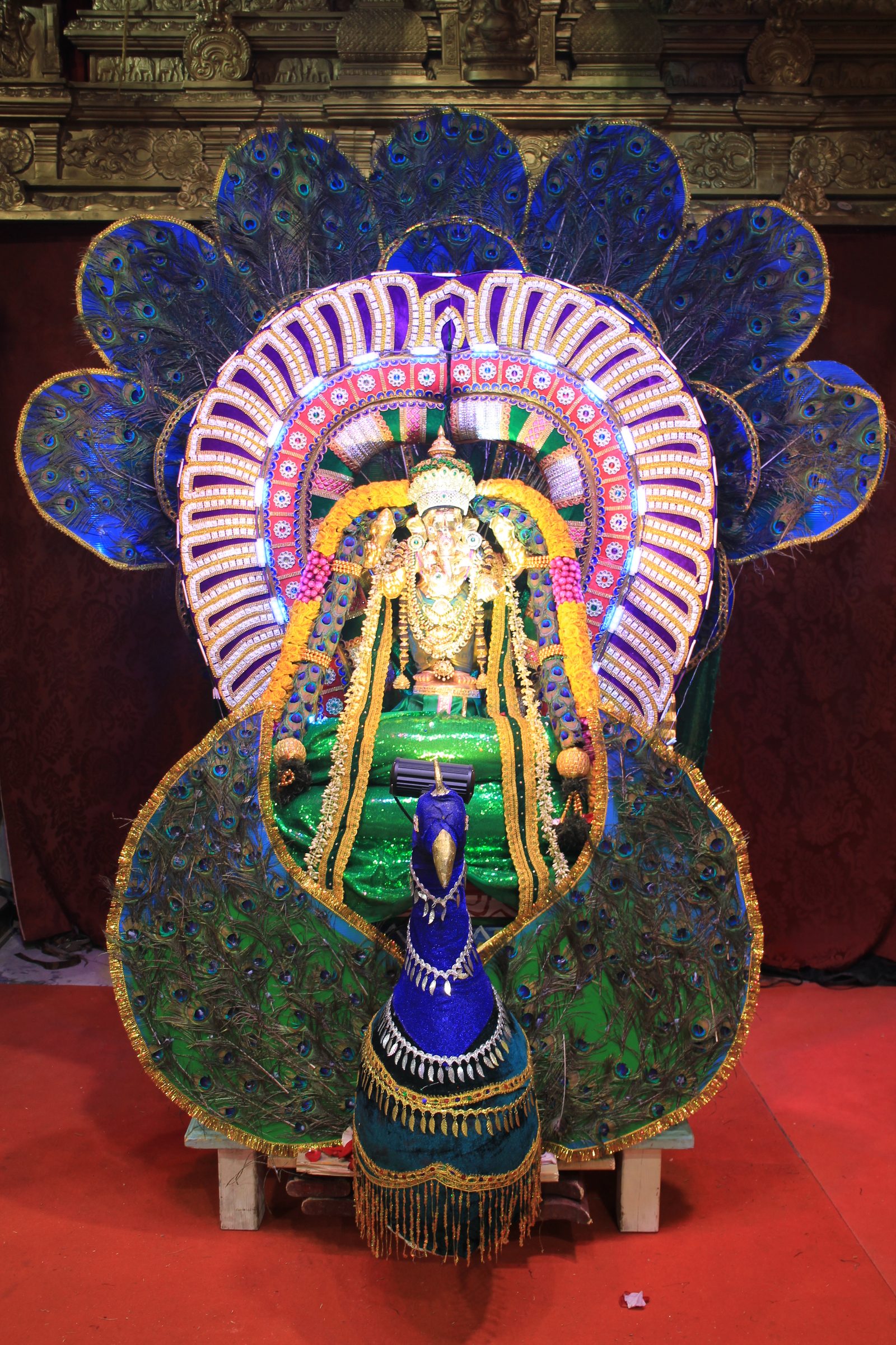 Festival 2026 photo