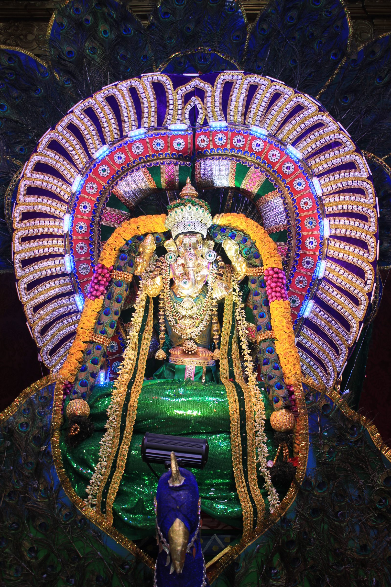 Festival 2026 photo