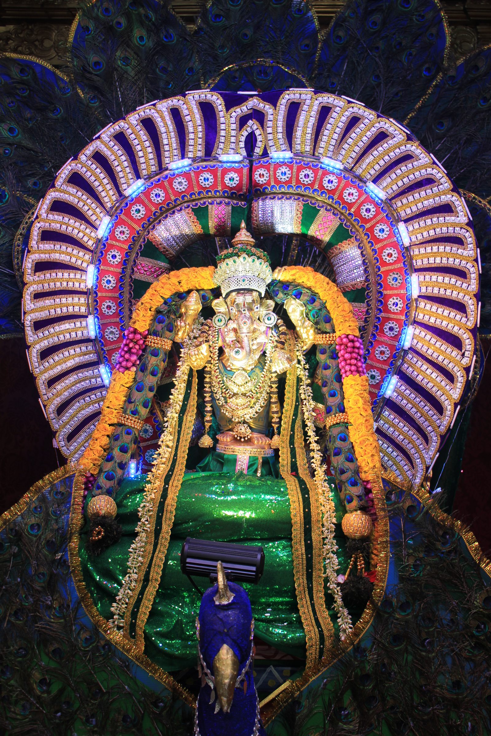 Festival 2026 photo