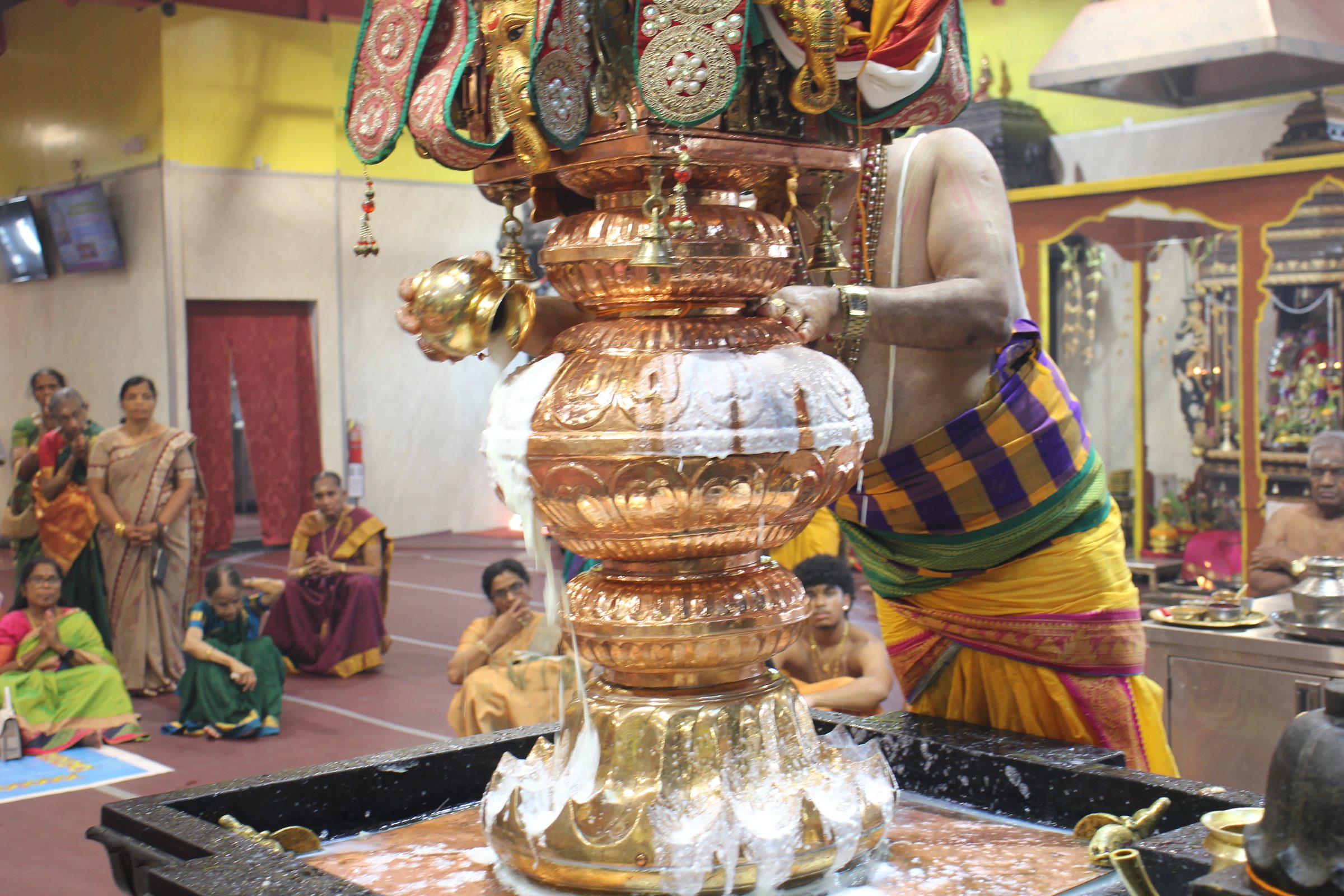 Festival 2026 photo
