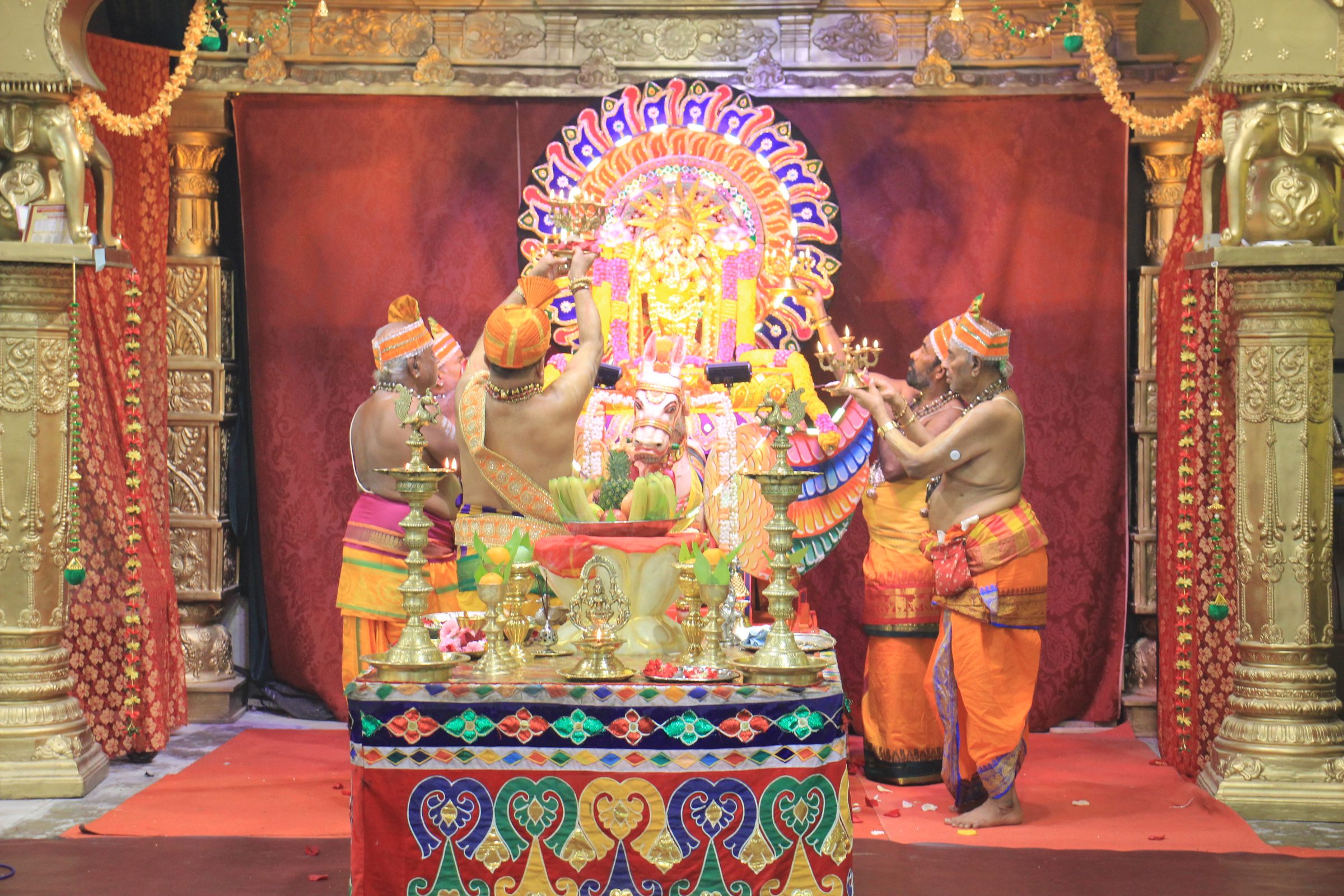 Festival 2026 photo
