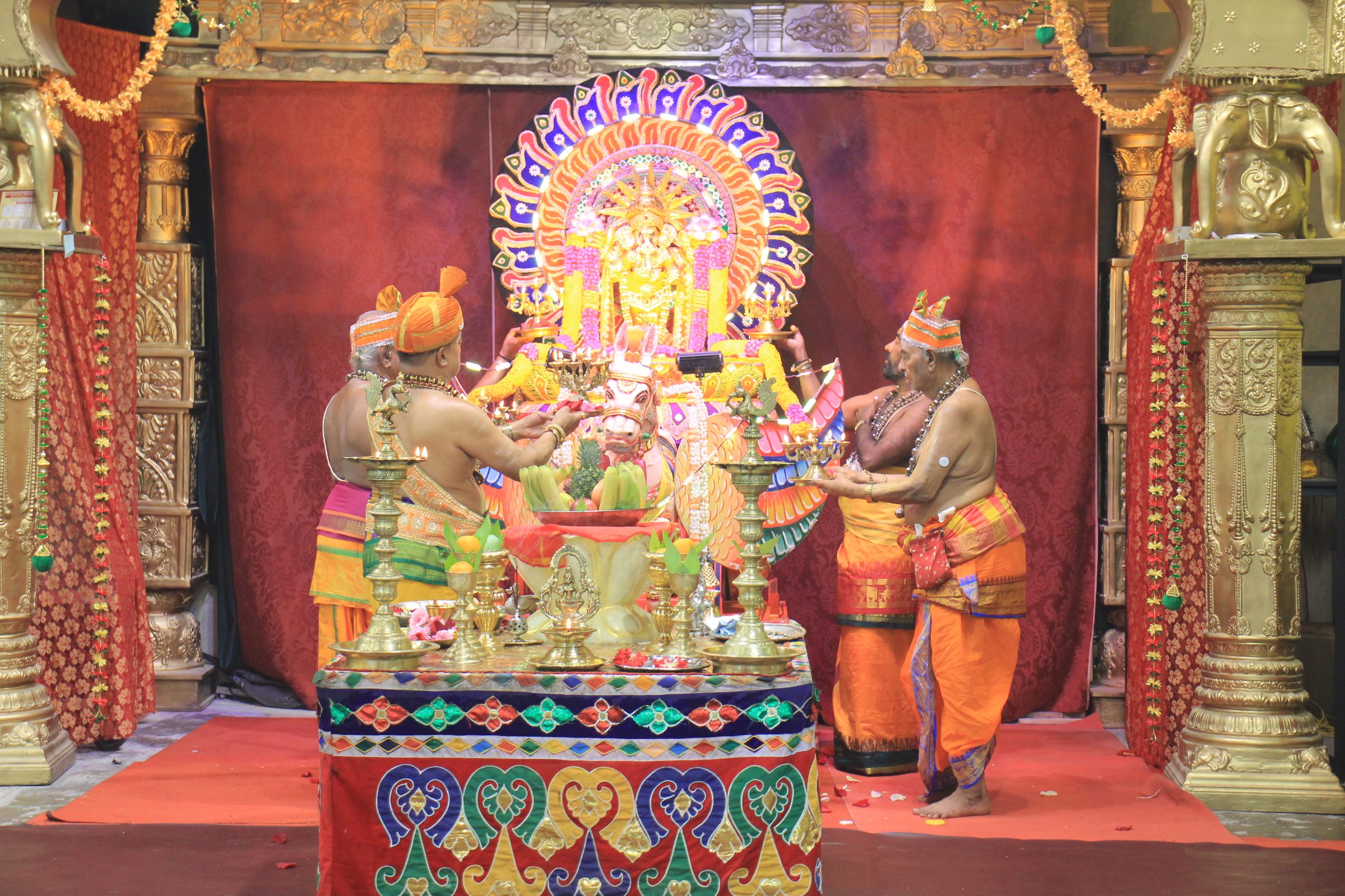 Festival 2026 photo