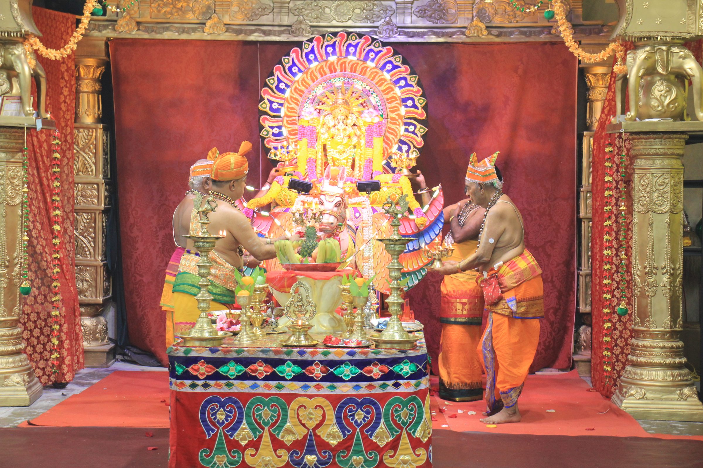 Festival 2026 photo
