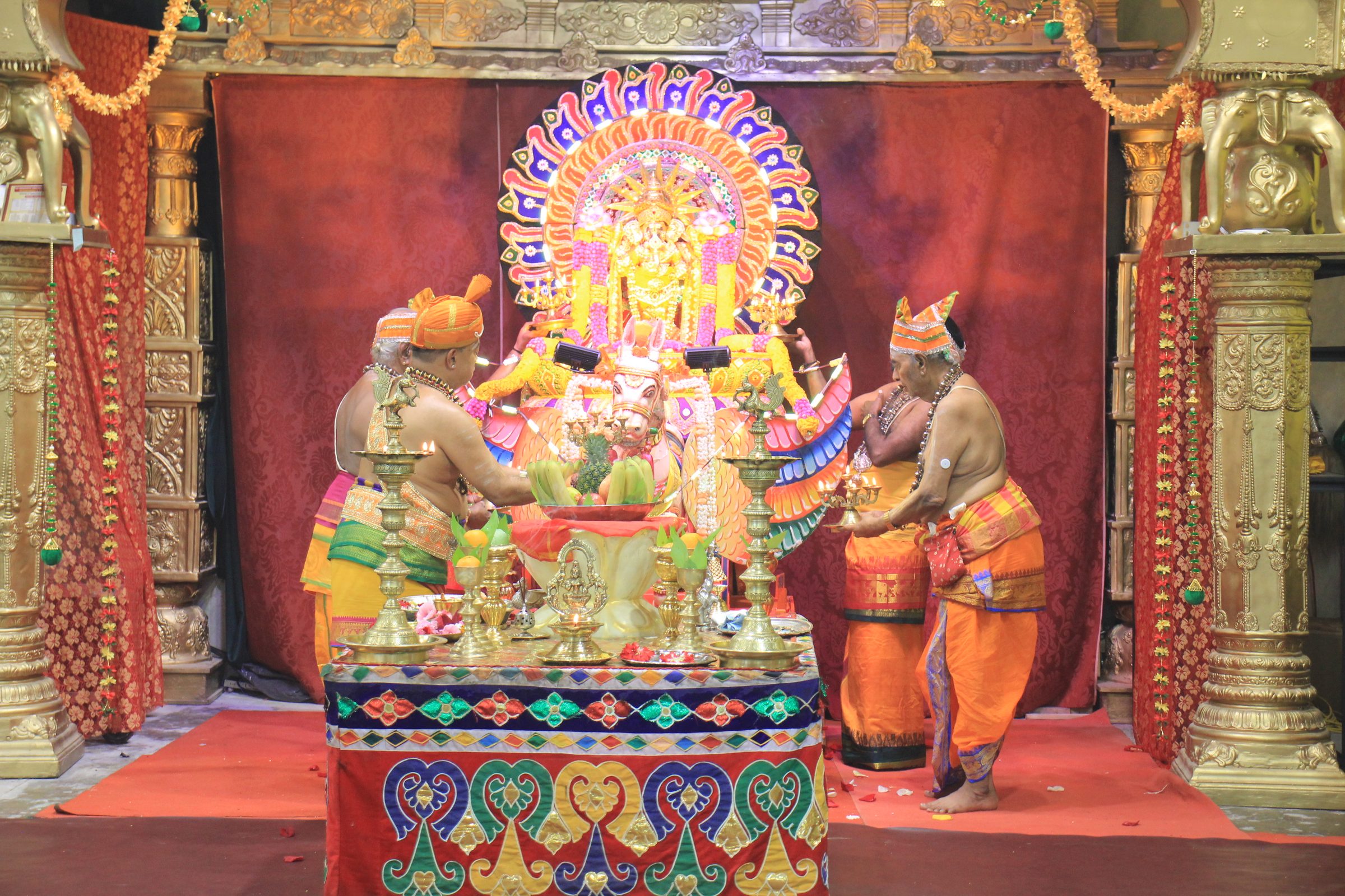 Festival 2026 photo