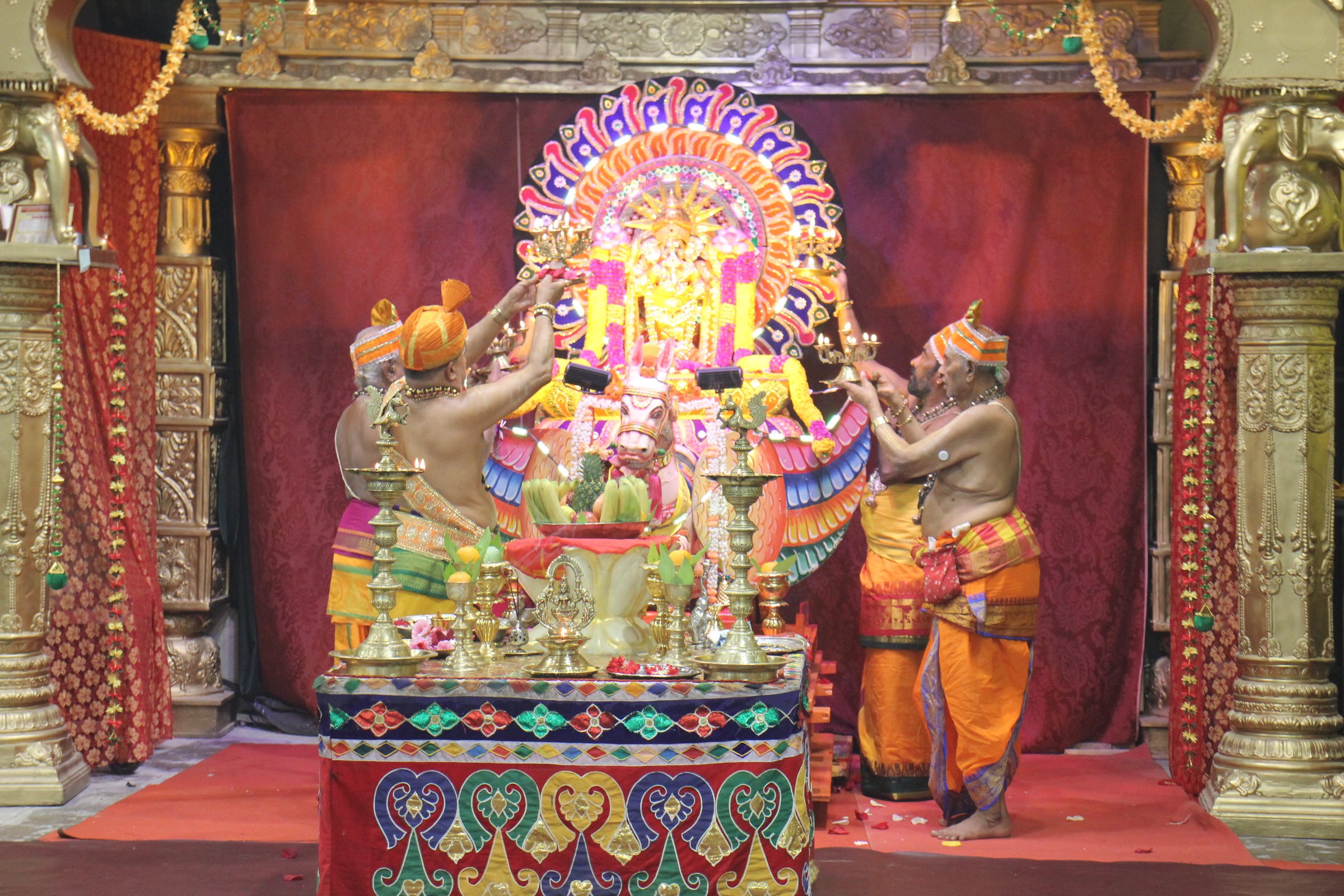 Festival 2026 photo