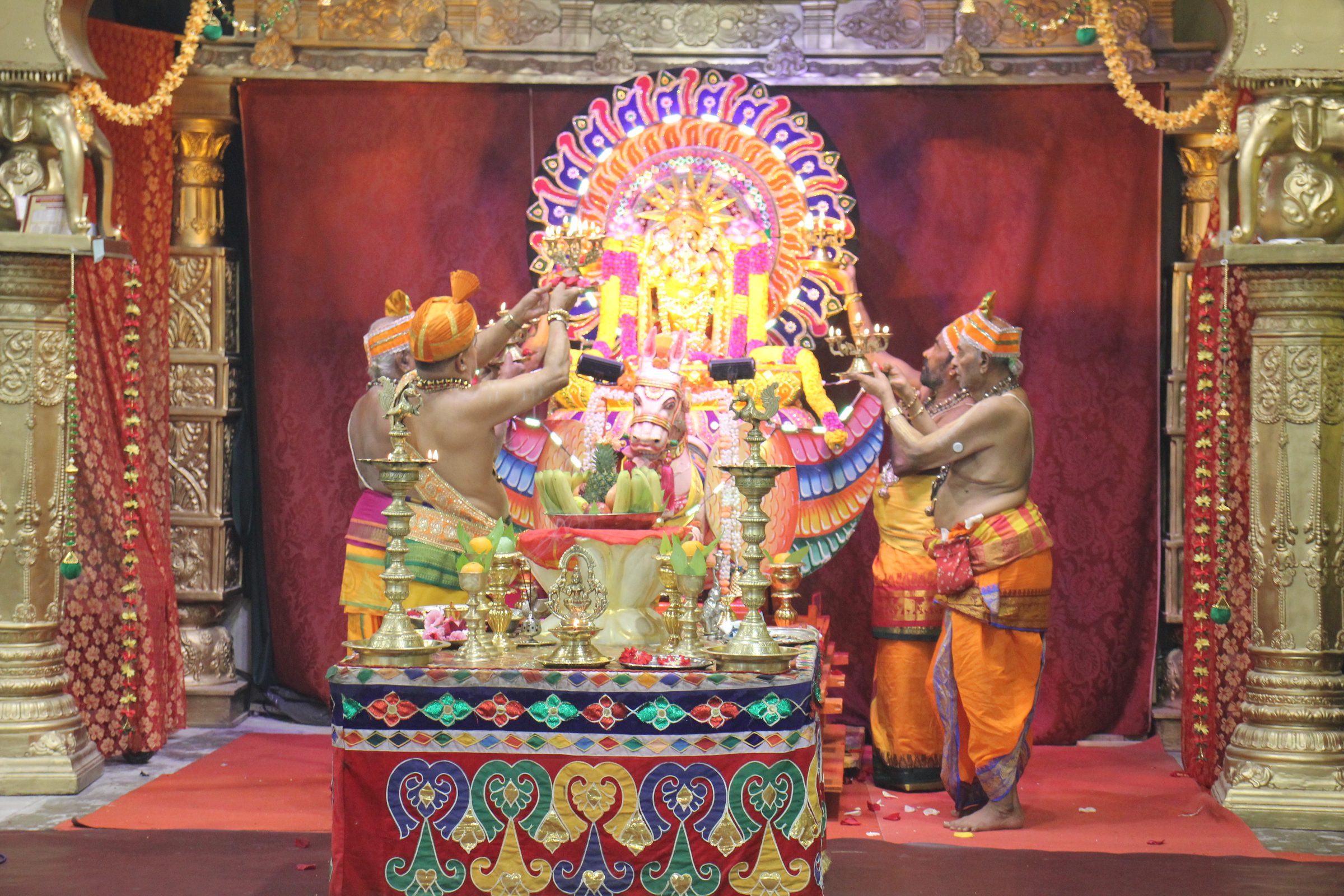 Festival 2026 photo