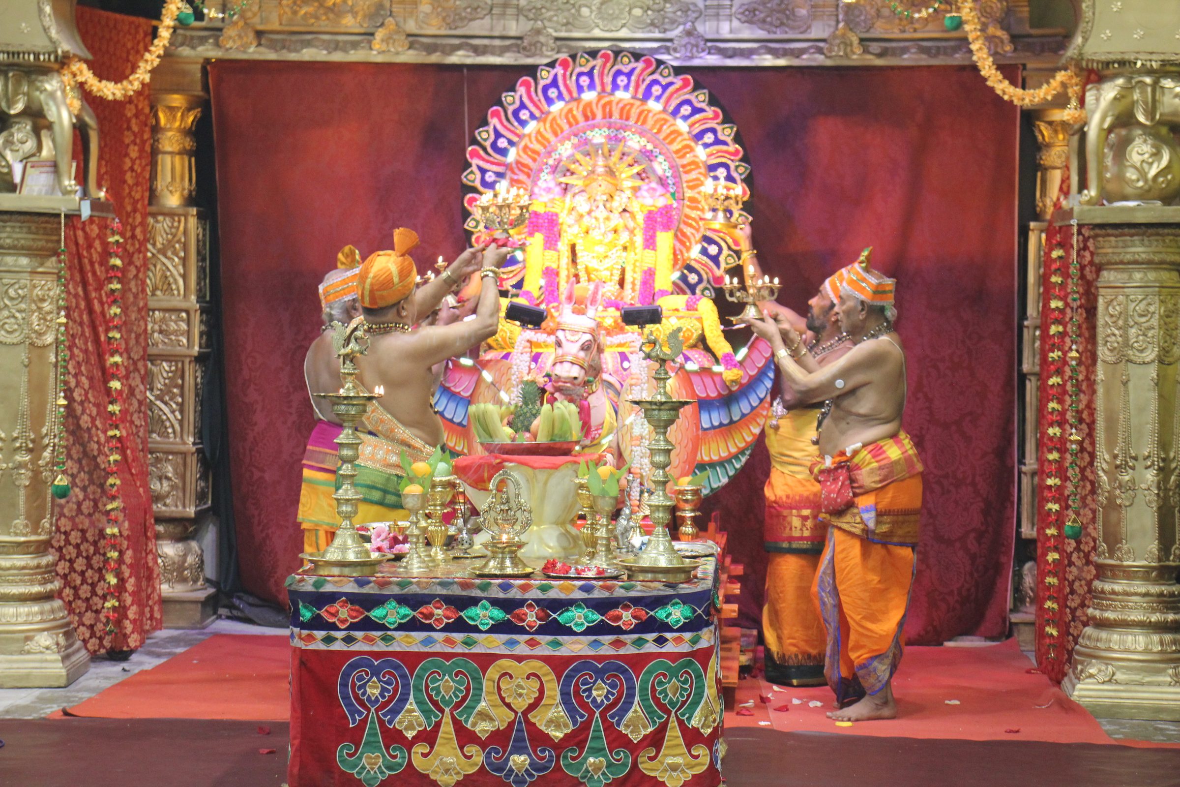 Festival 2026 photo