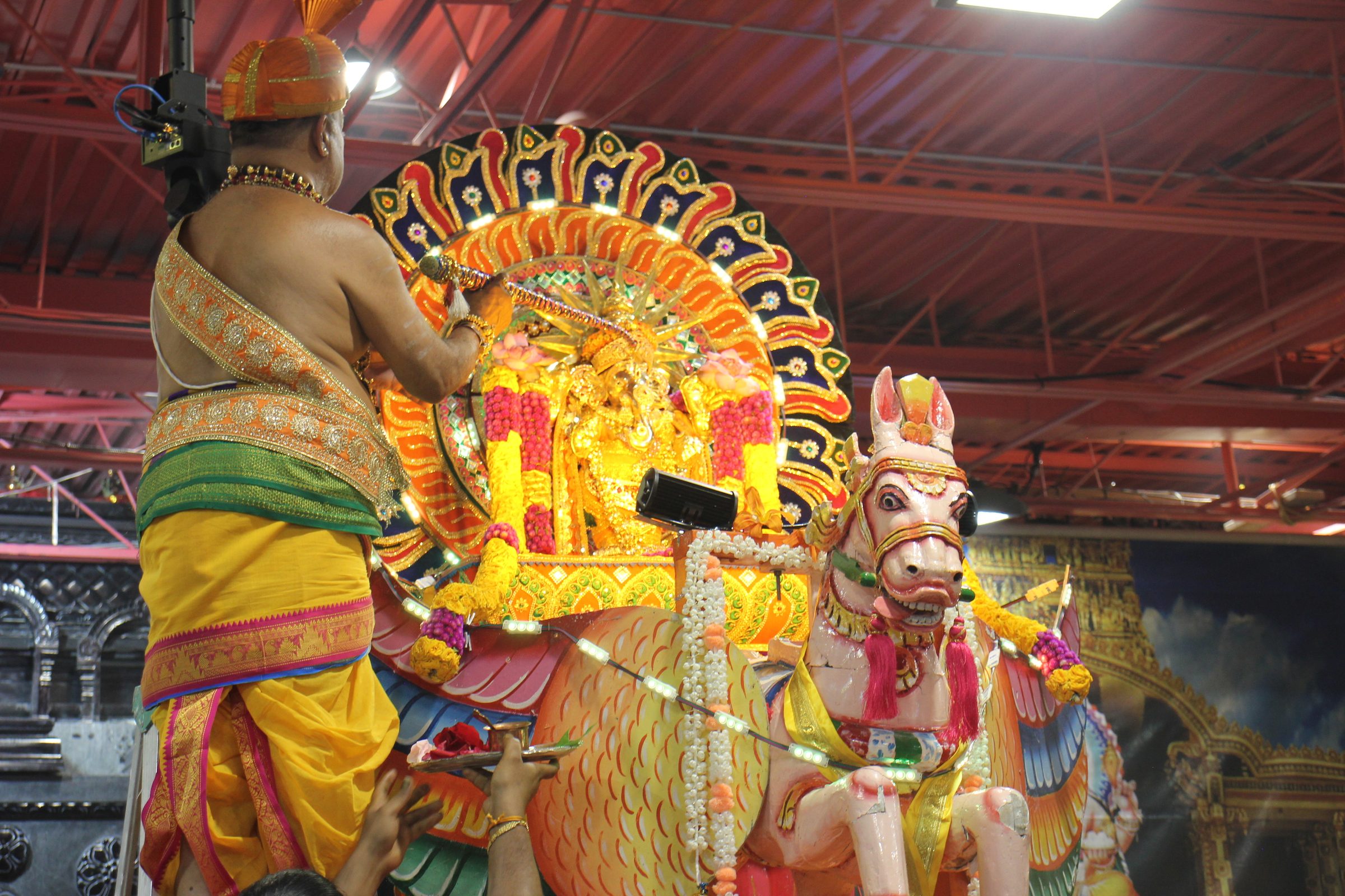 Festival 2026 photo