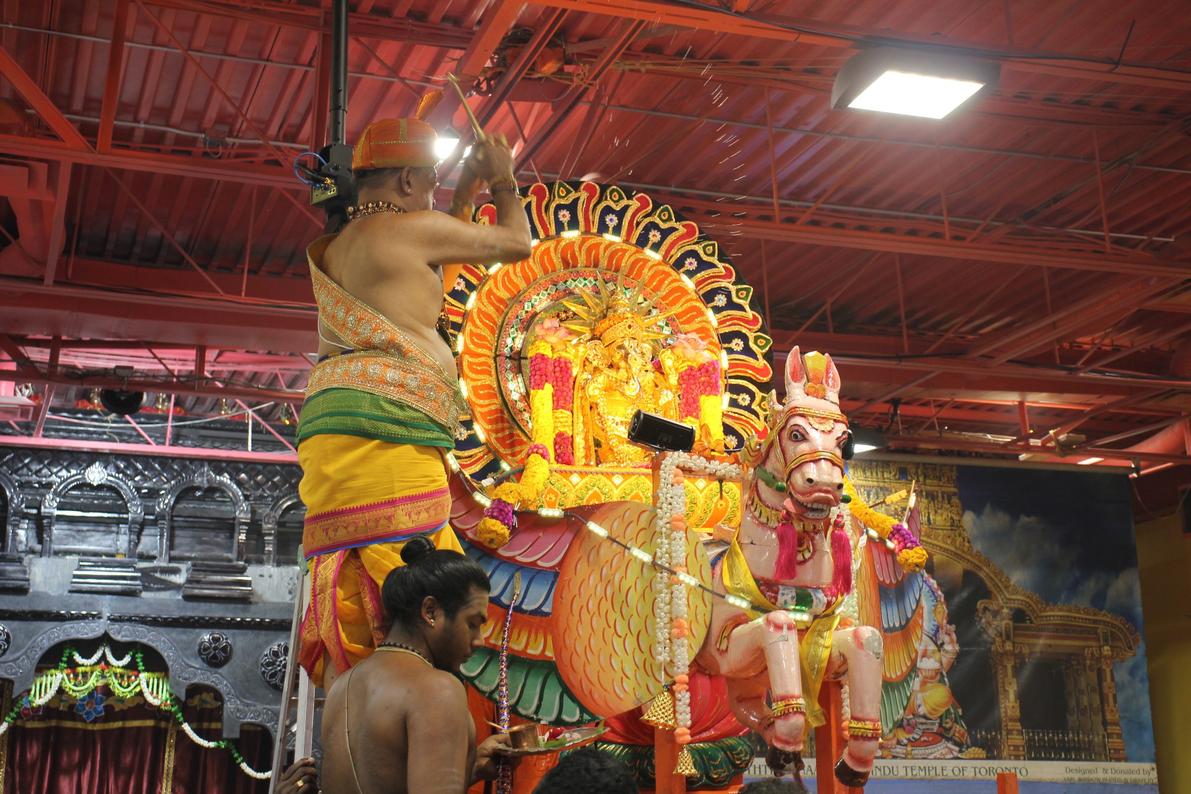 Festival 2026 photo
