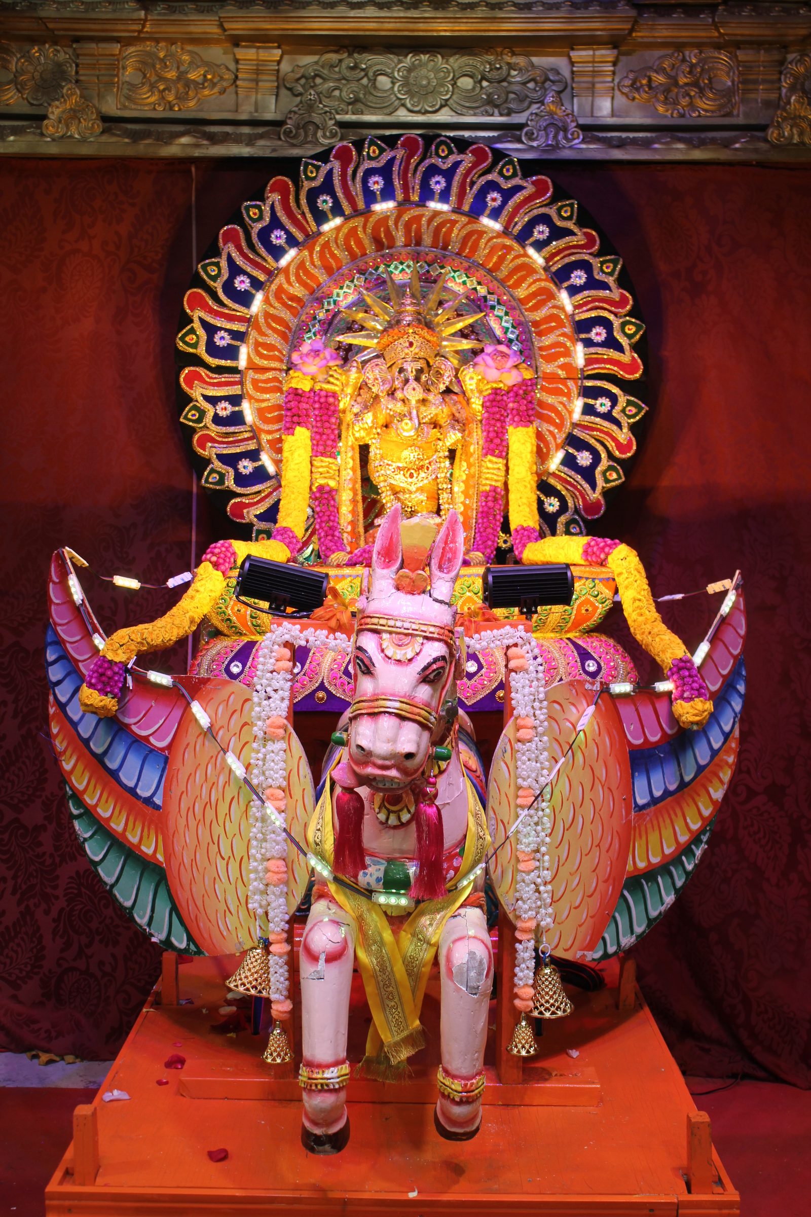 Festival 2026 photo