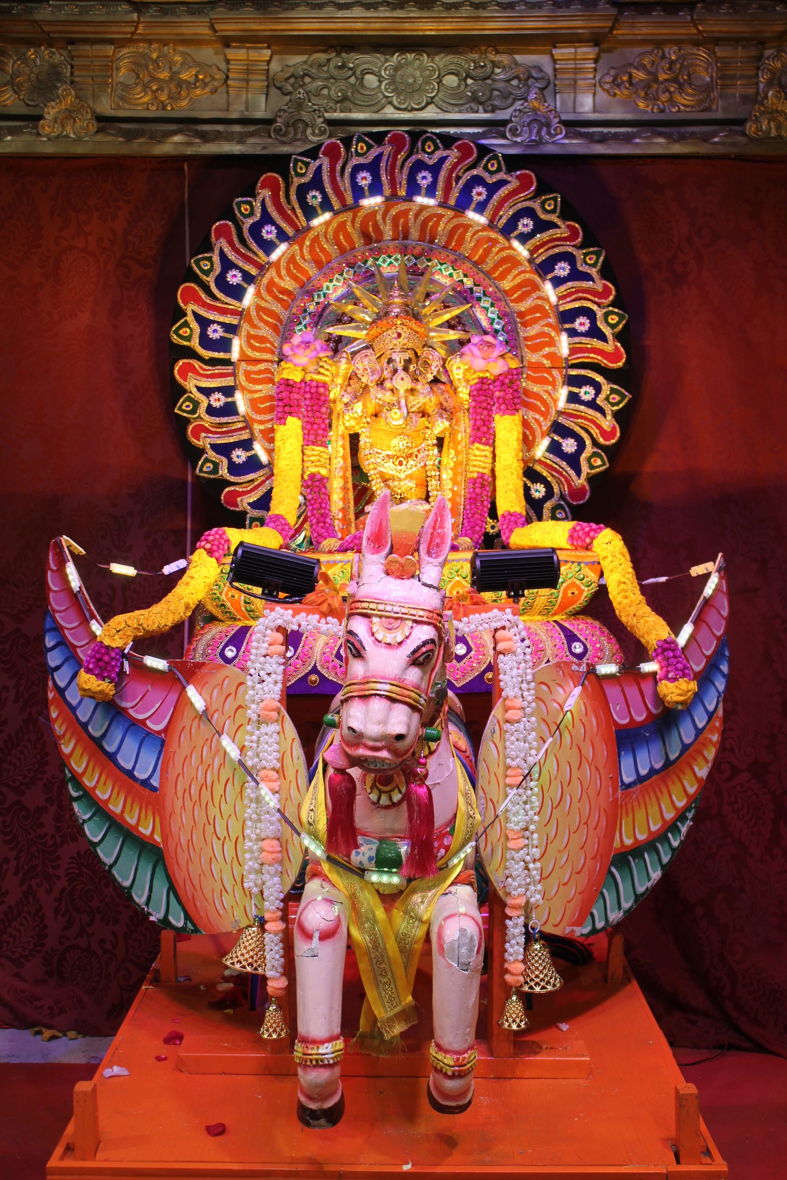 Festival 2026 photo