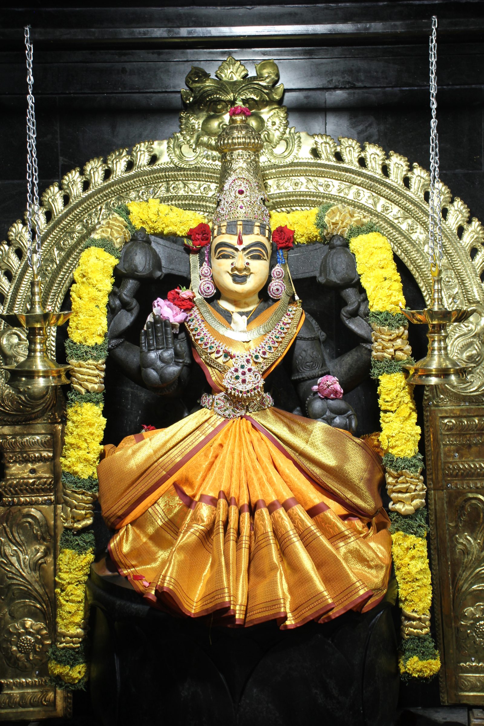 Festival 2026 photo
