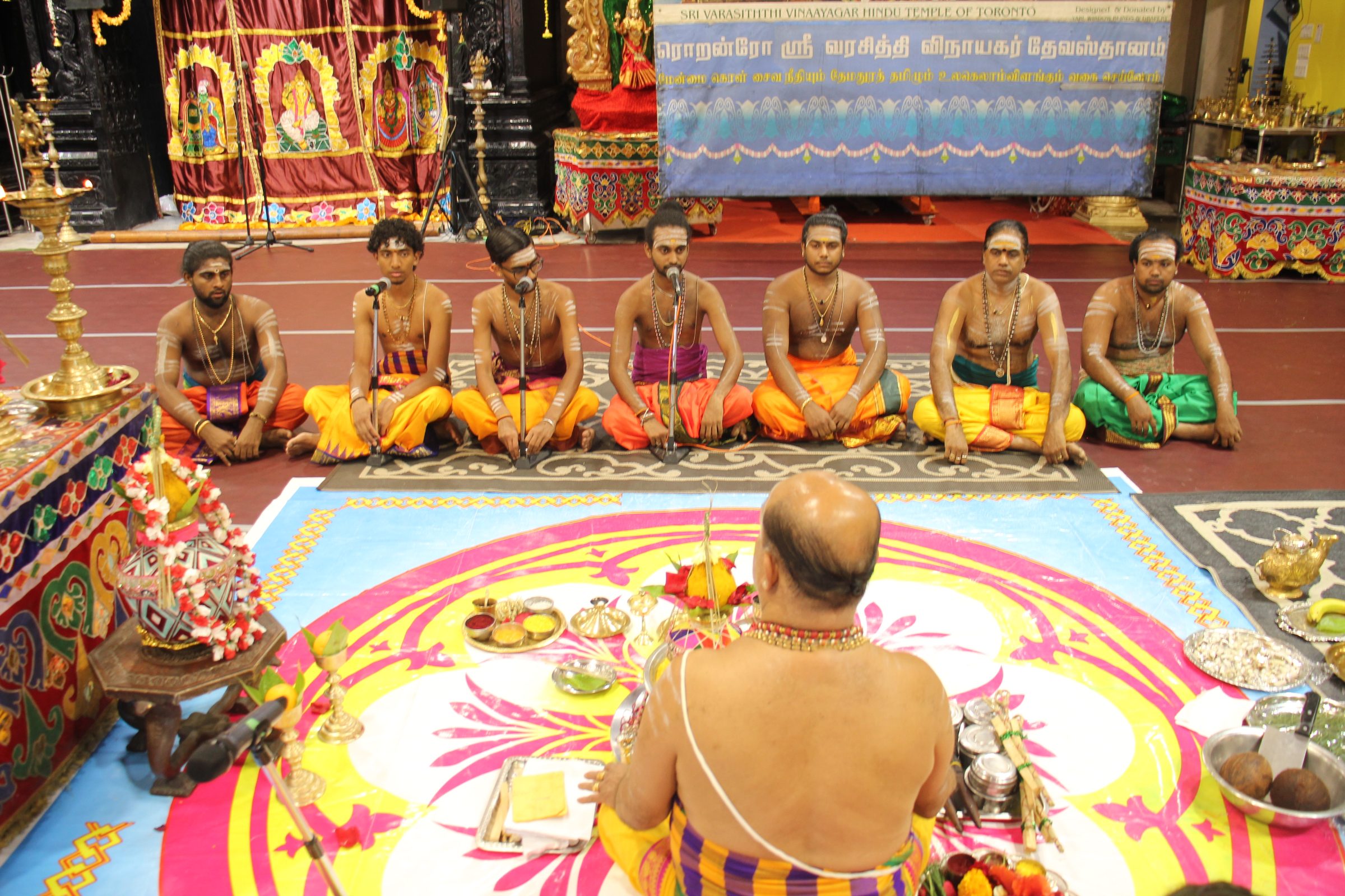 Festival 2026 photo