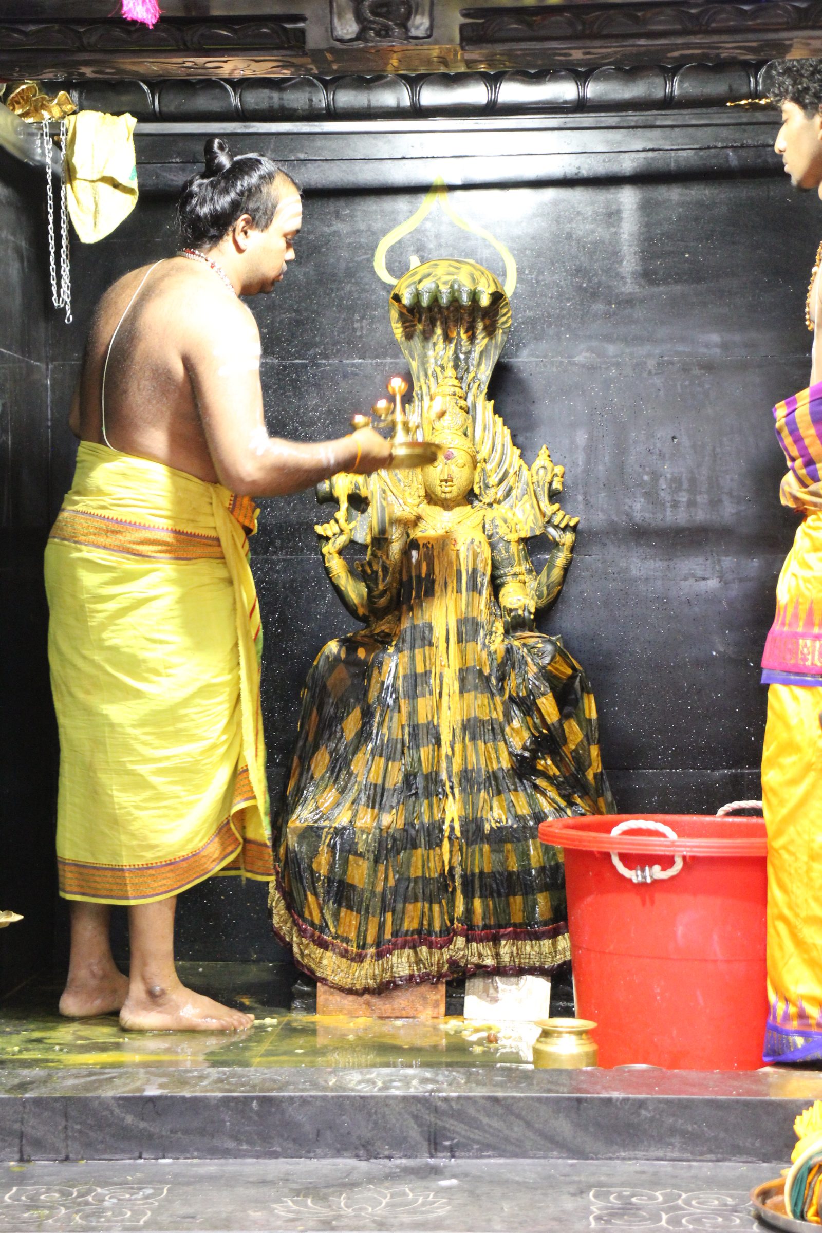 Festival 2026 photo