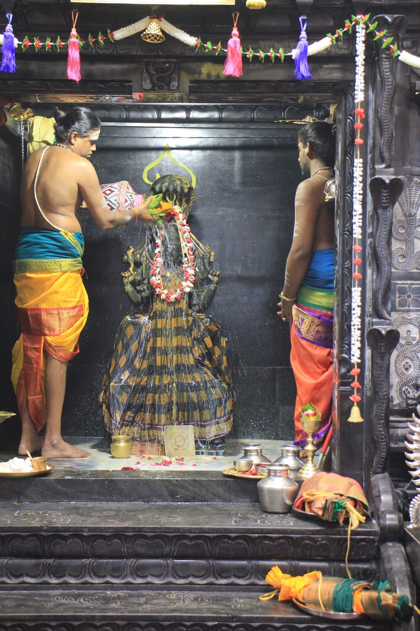 Festival 2026 photo