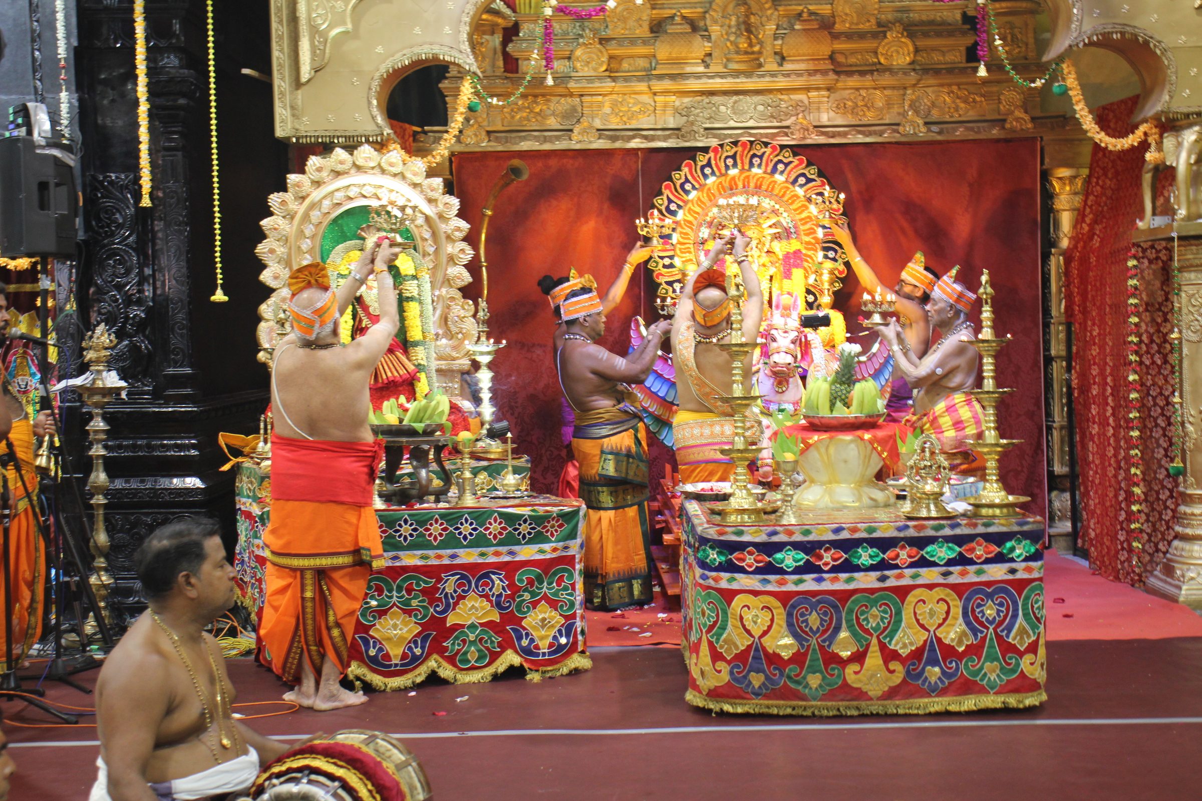 Festival 2026 photo