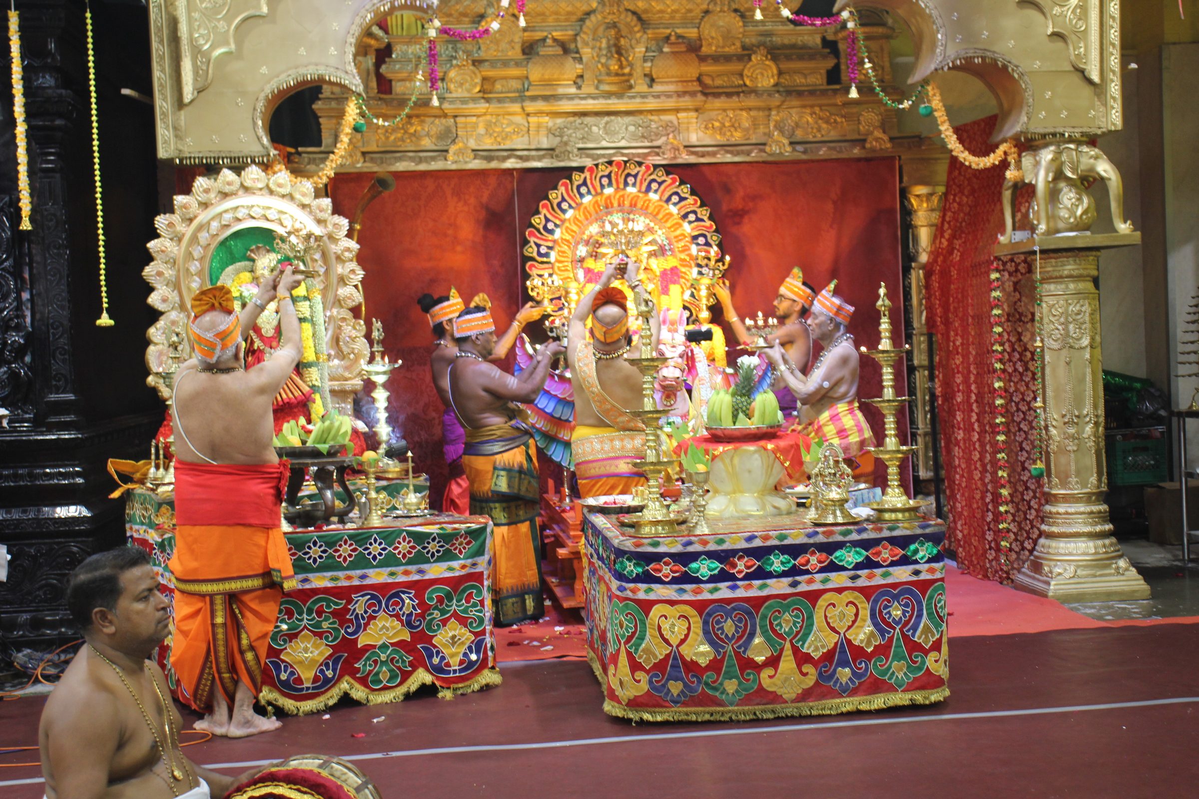 Festival 2026 photo