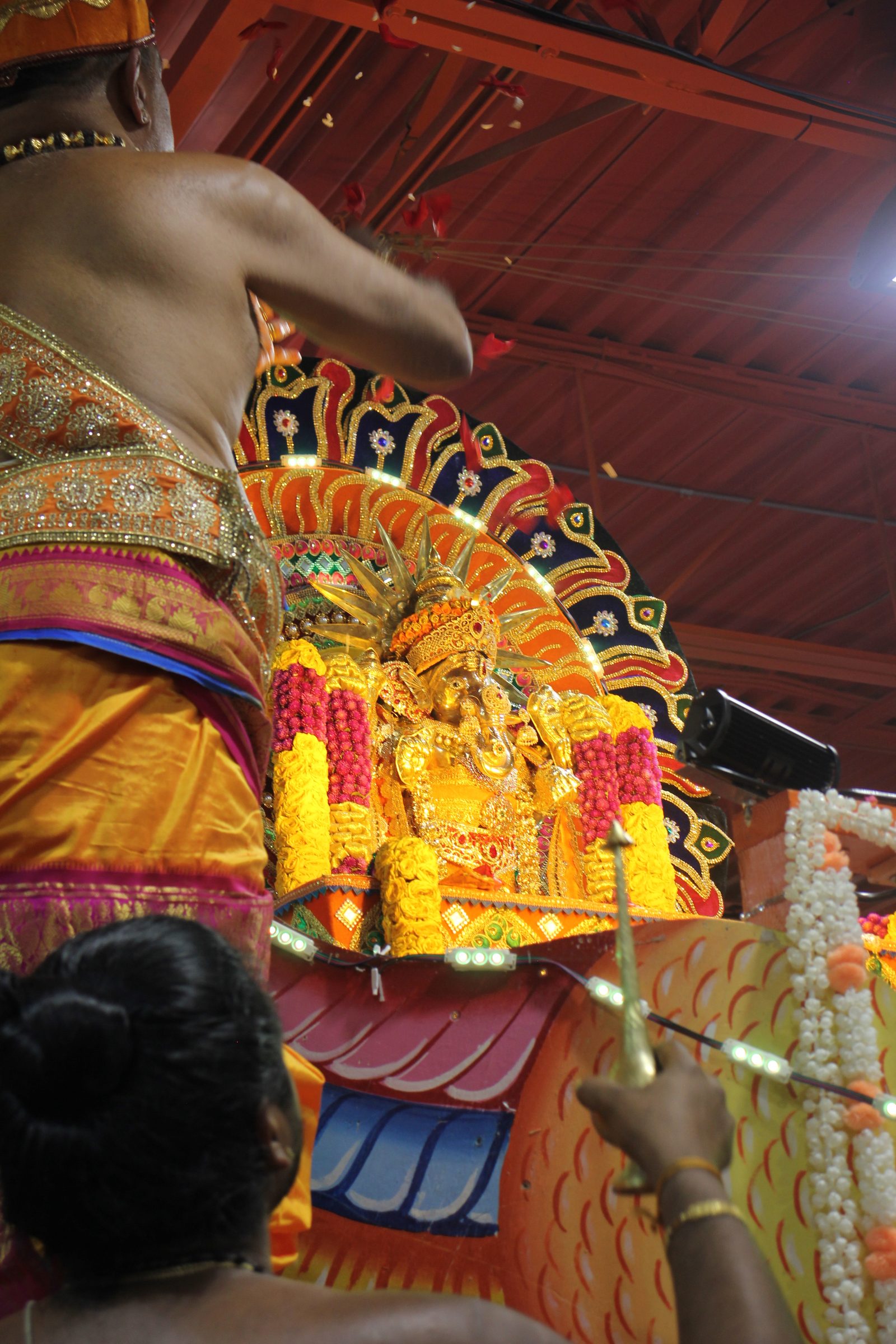 Festival 2026 photo