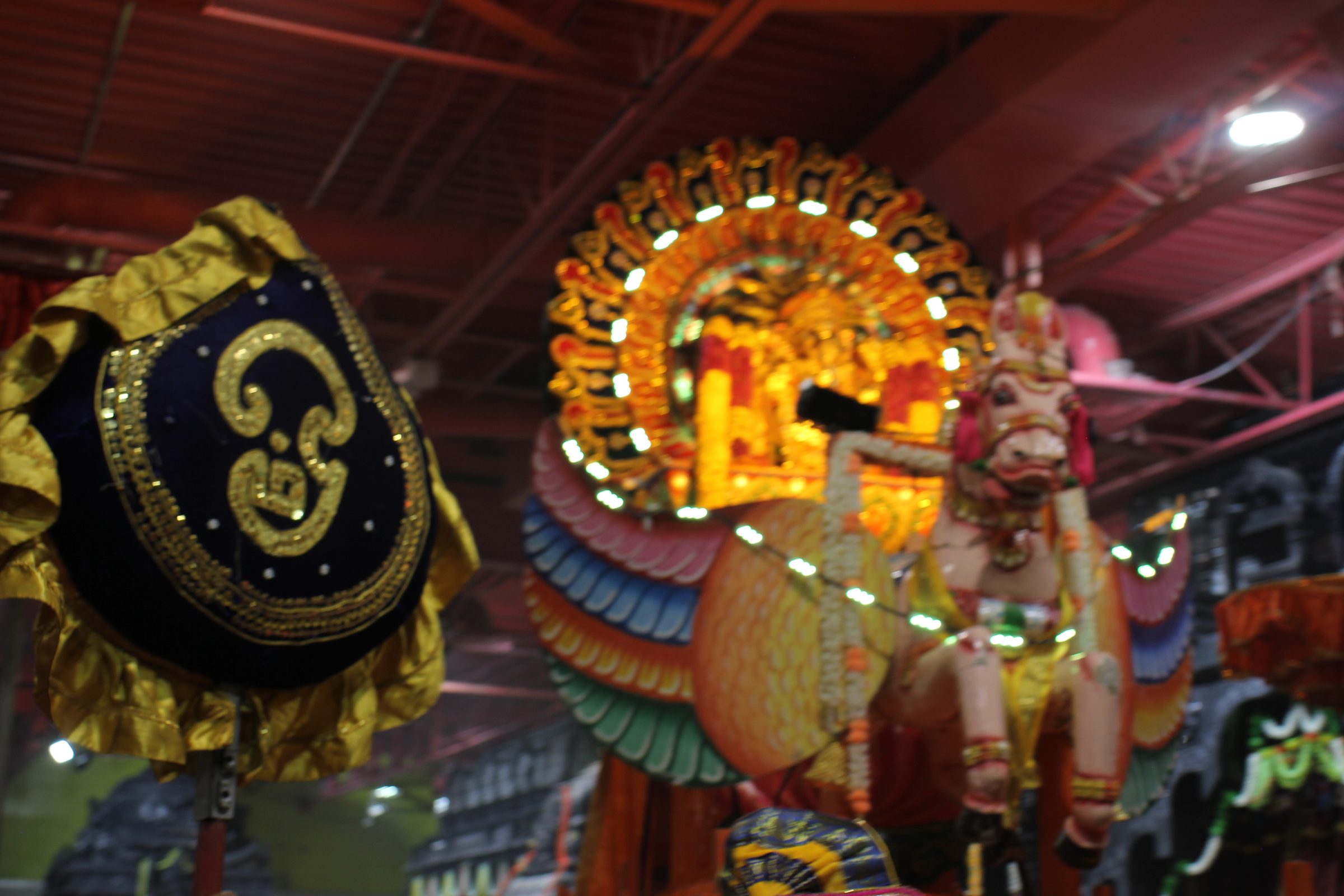 Festival 2026 photo