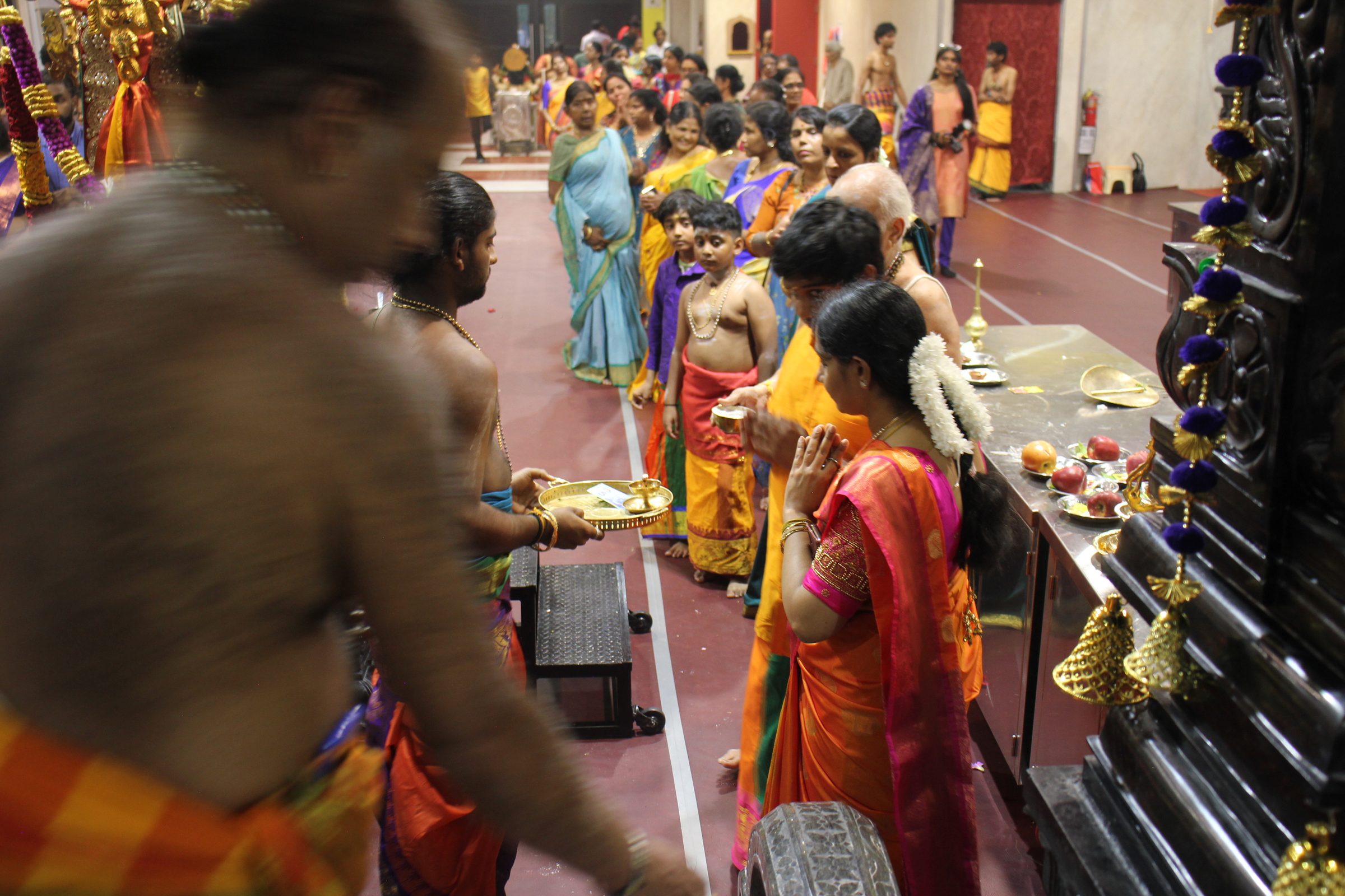 Festival 2026 photo