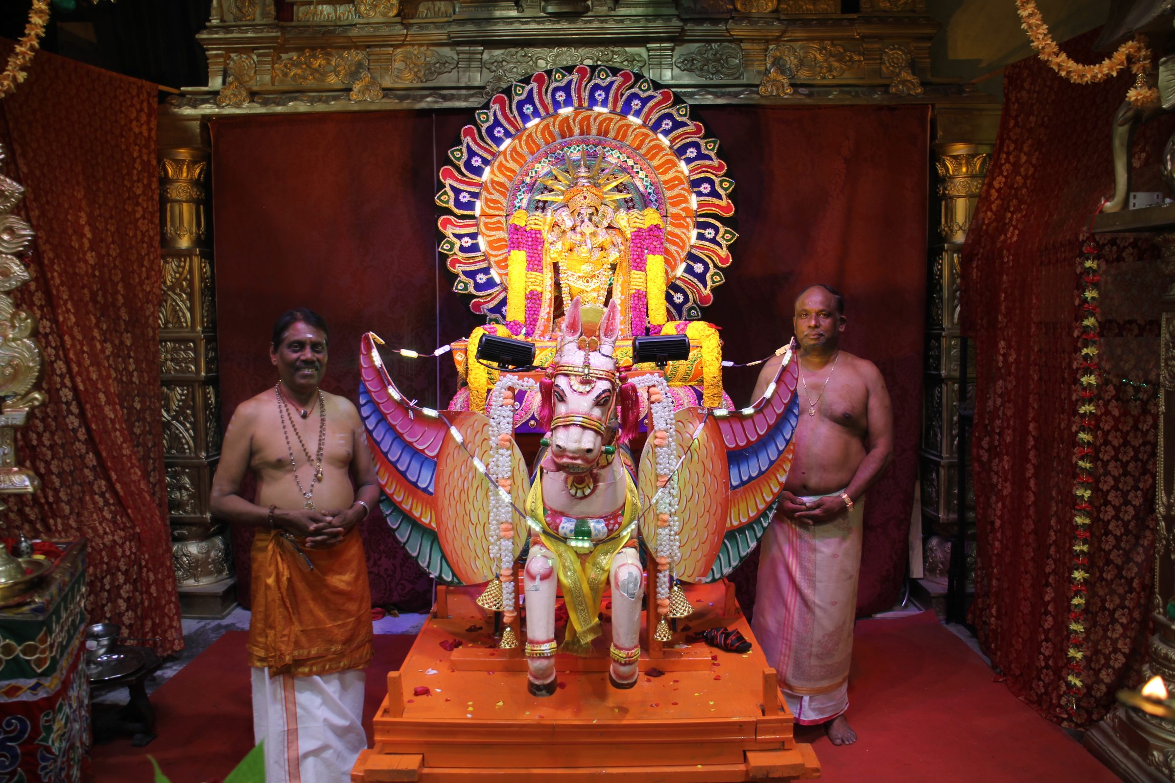 Festival 2026 photo